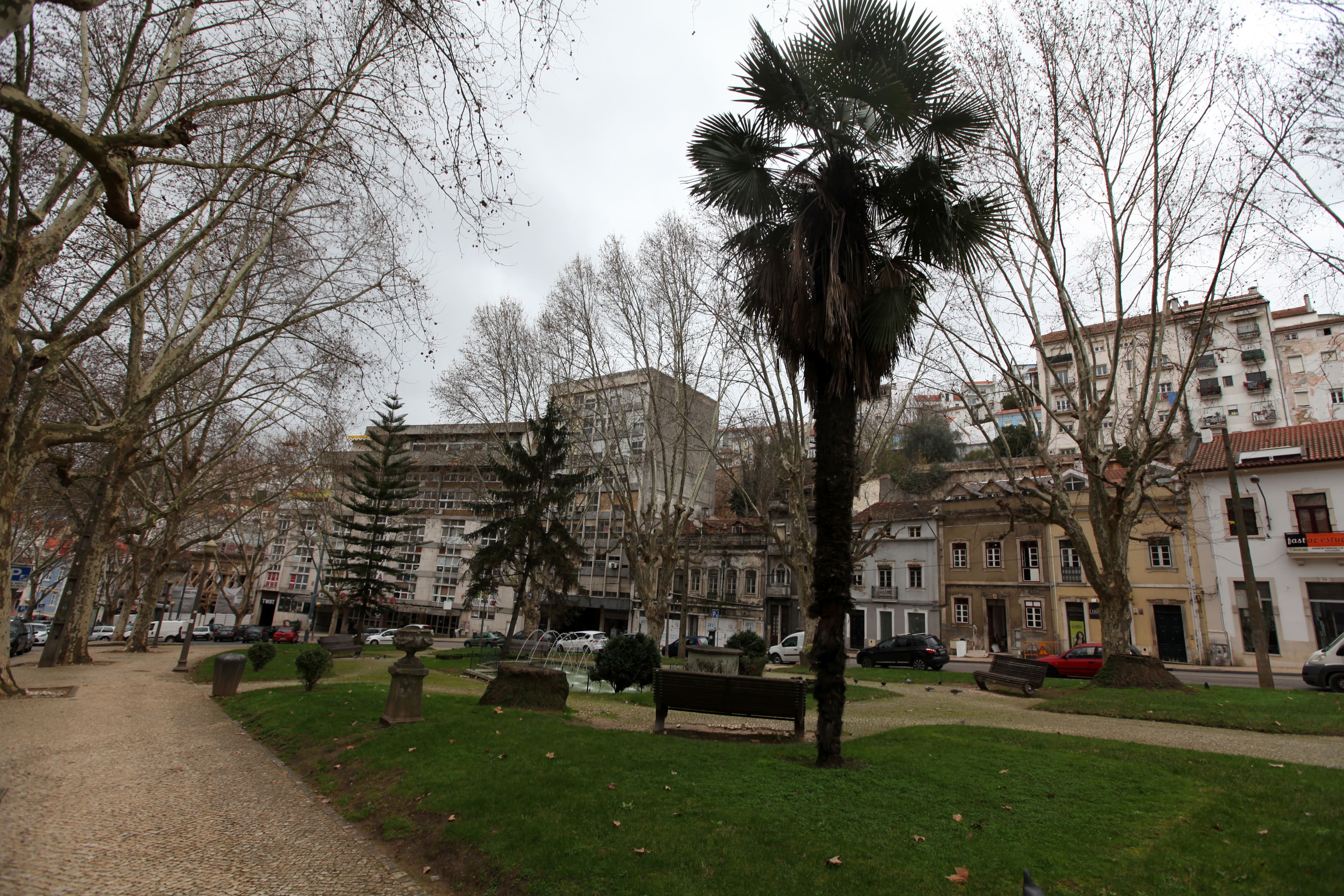 Sá da Bandeira Garden