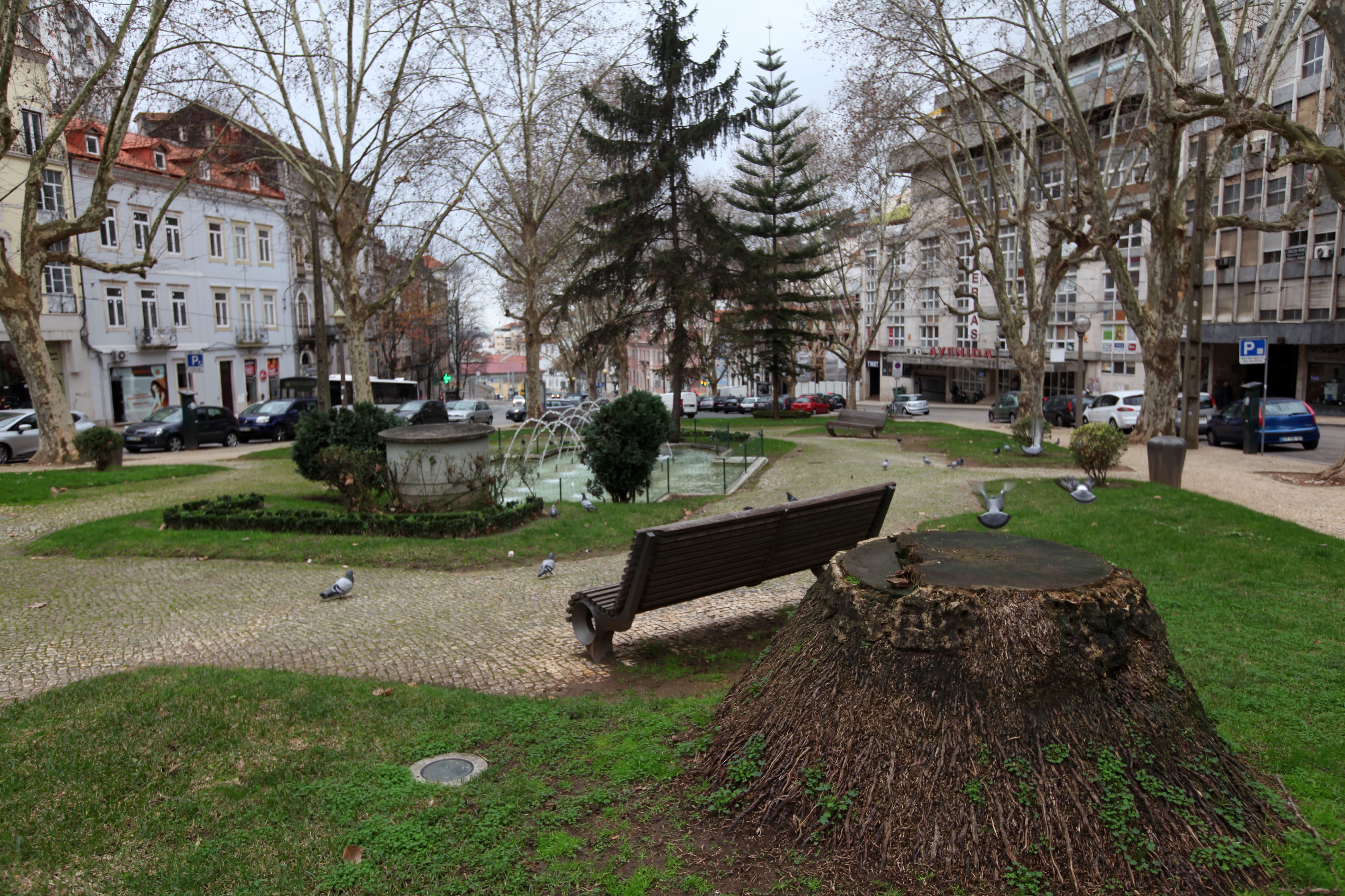 Sá da Bandeira Garden