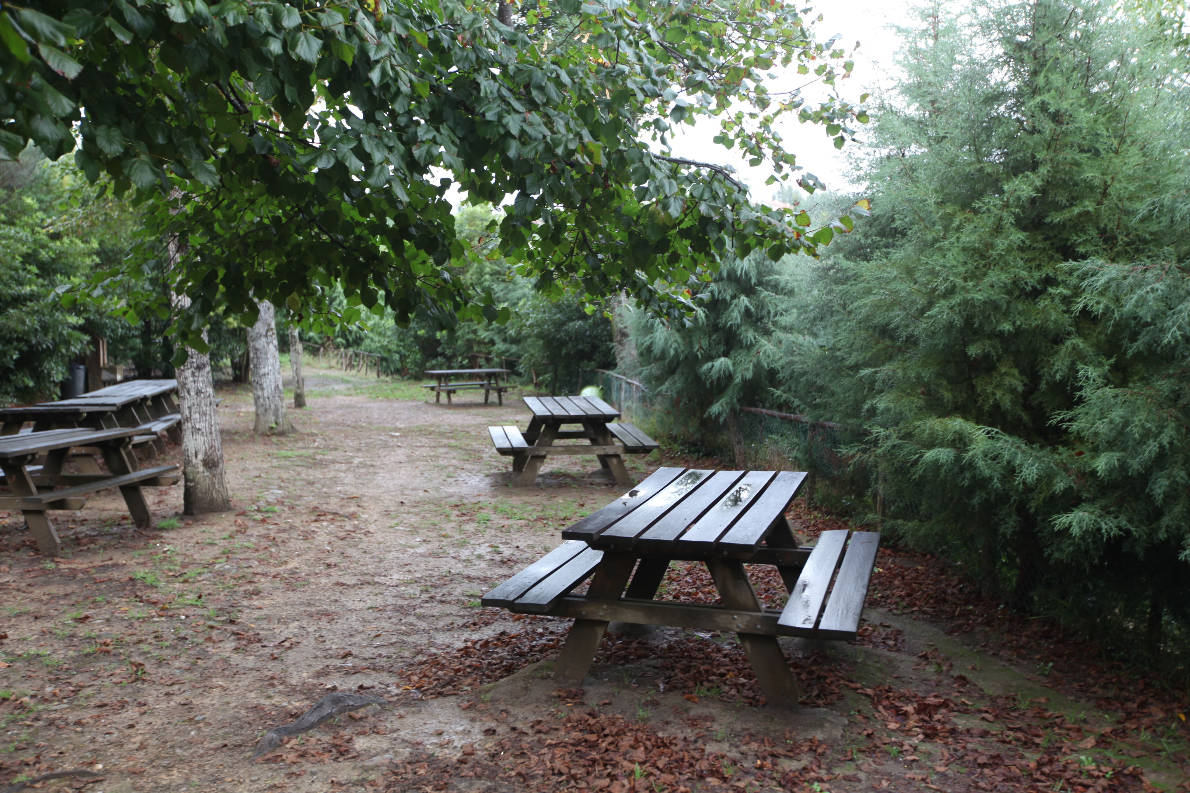 Bosque Nacional de Vale de Canas