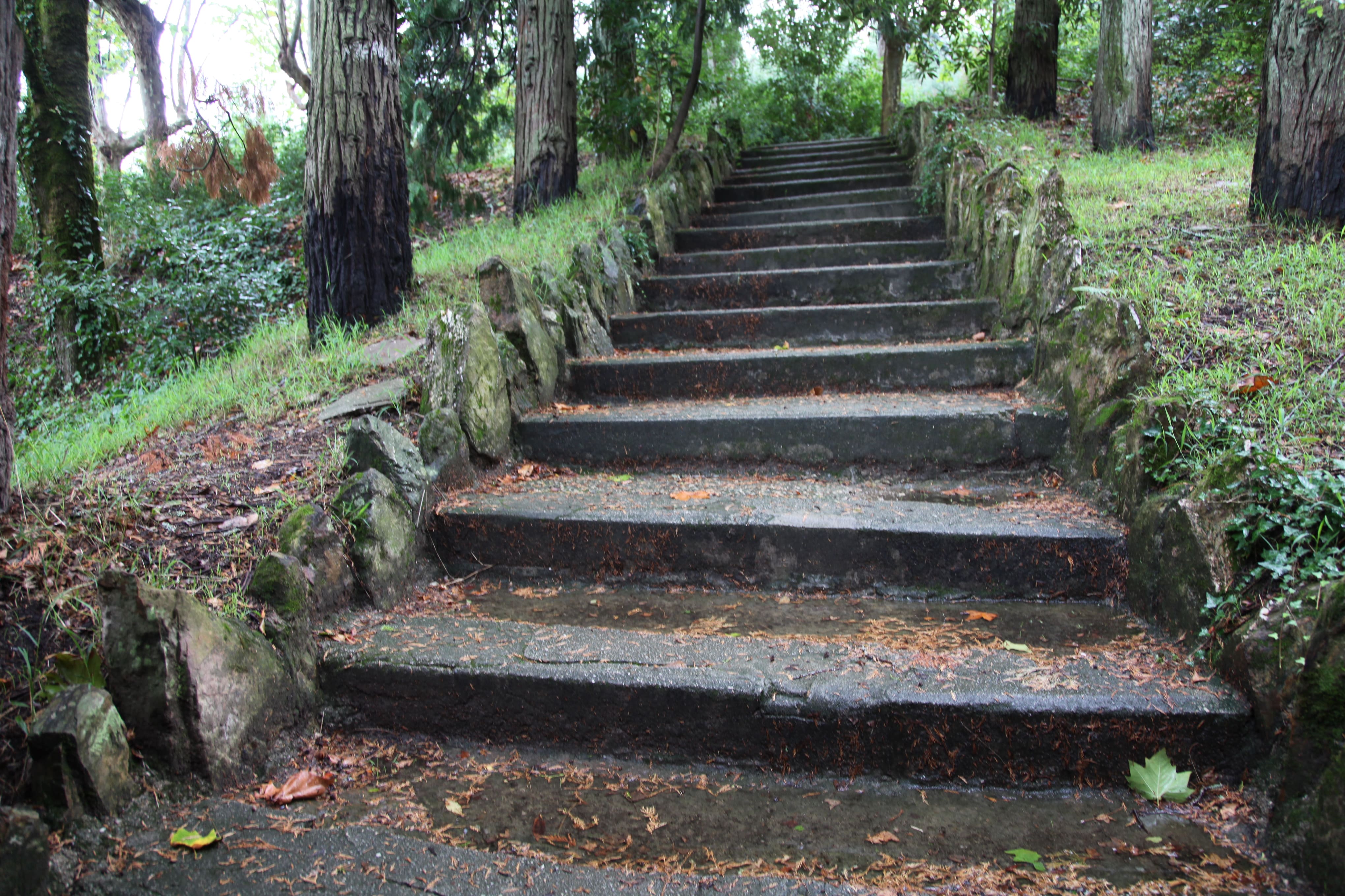 Bosque Nacional de Vale de Canas