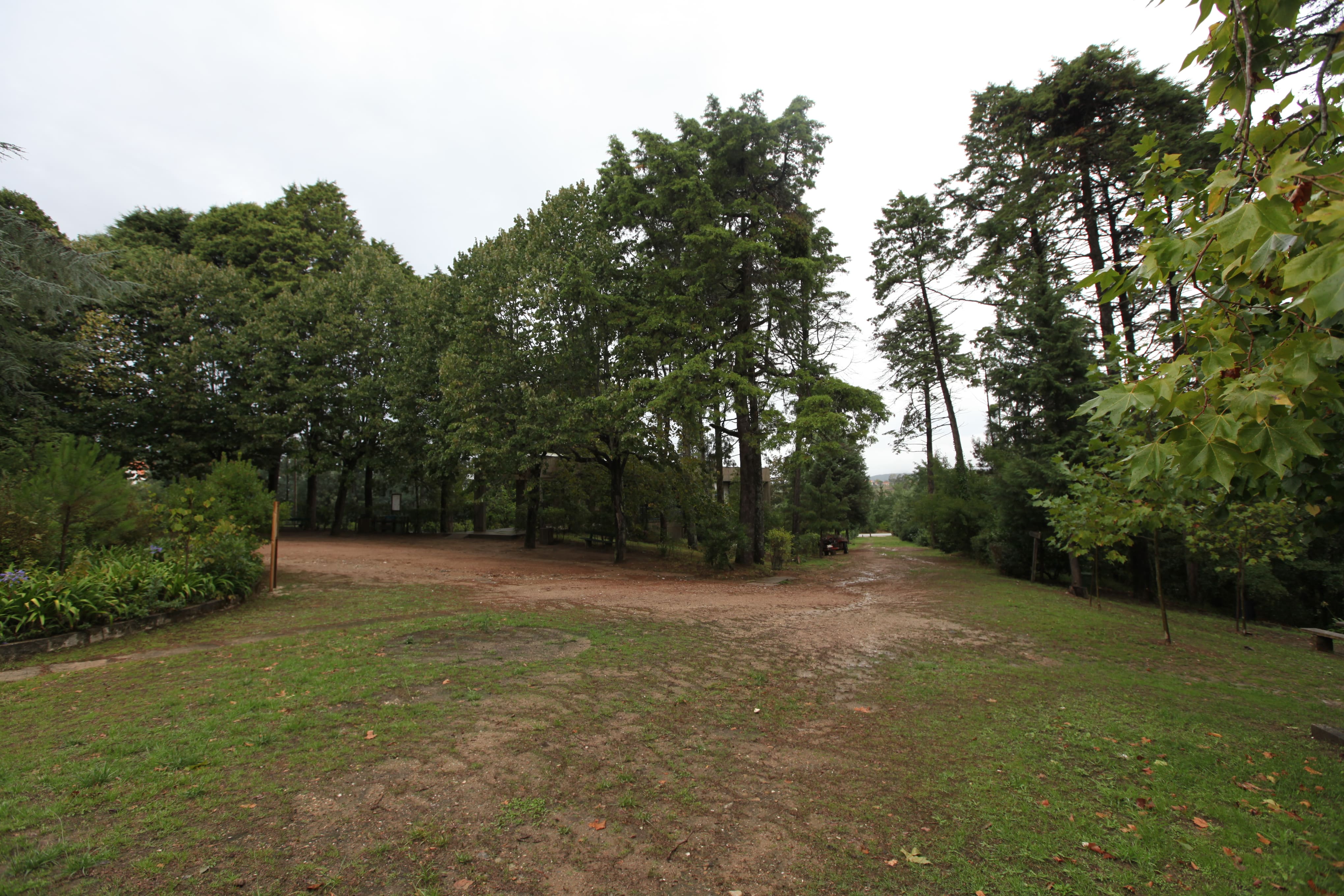 Bosque Nacional de Vale de Canas