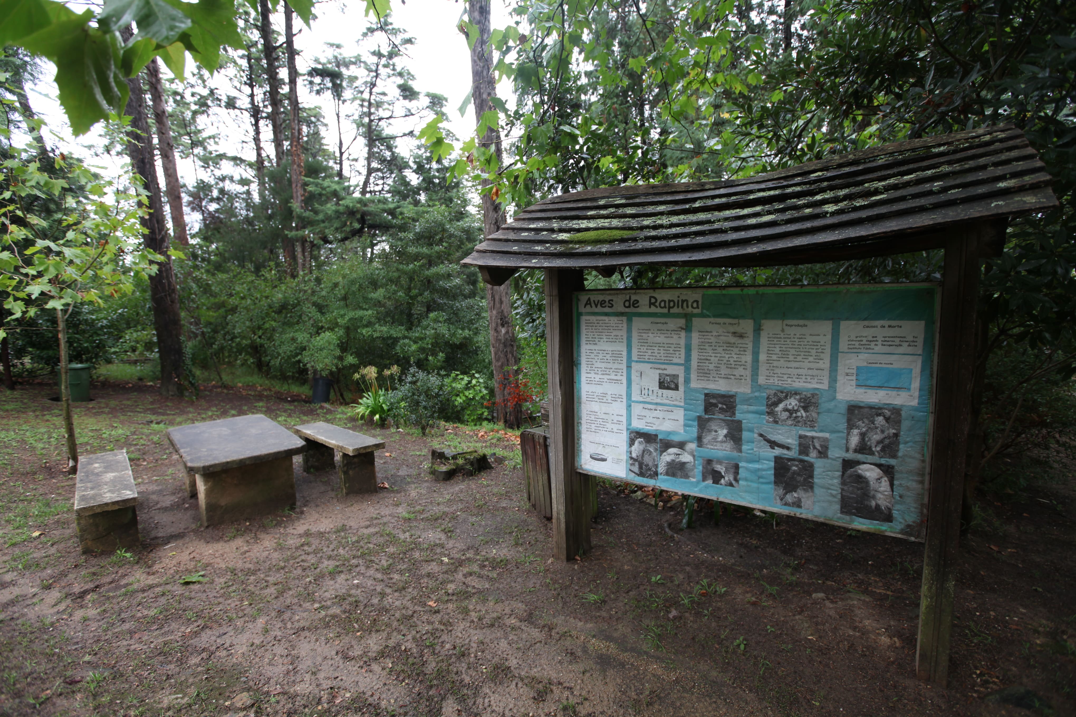 Bosque Nacional de Vale de Canas