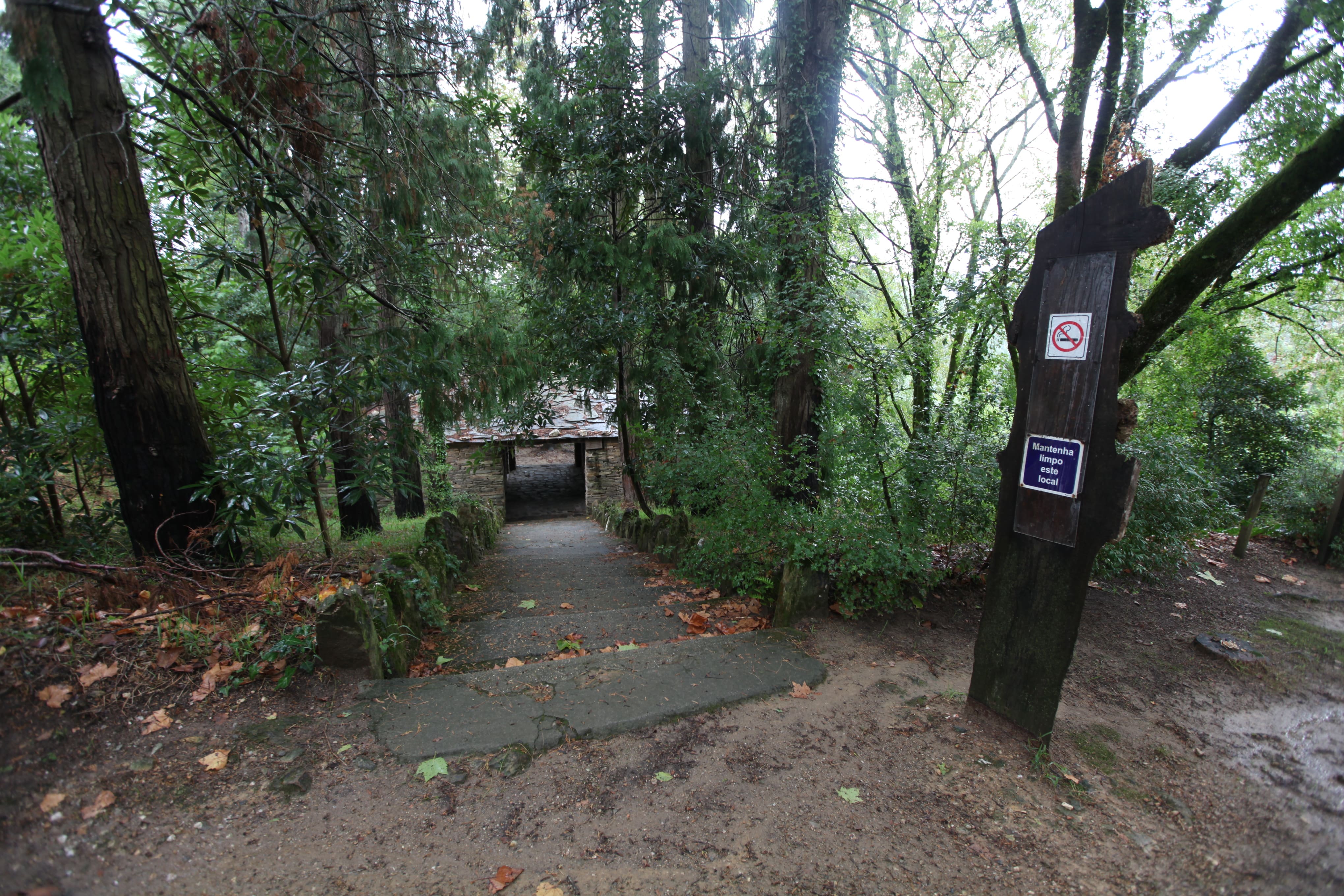 Bosque Nacional de Vale de Canas