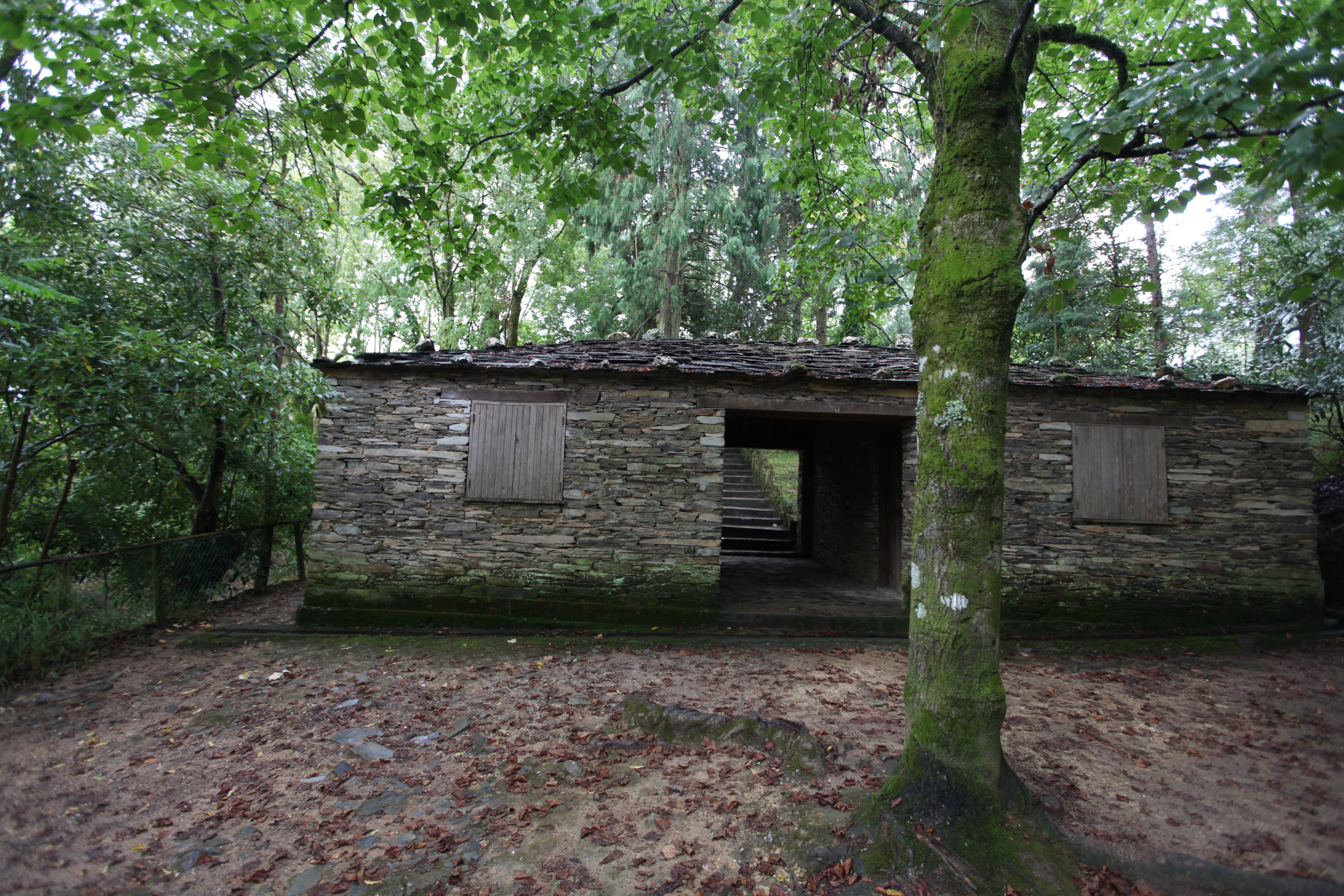 Bosque Nacional de Vale de Canas