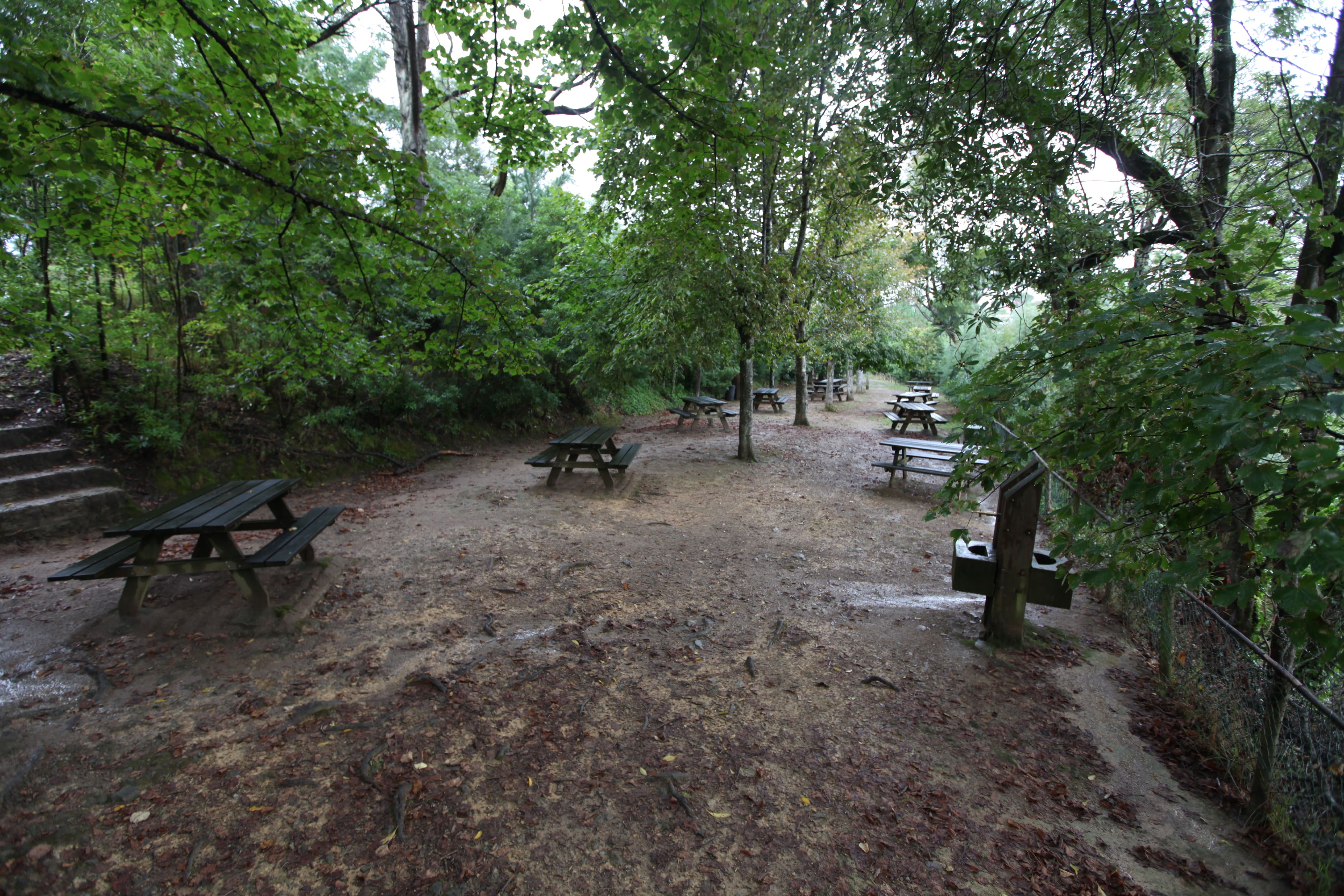 Bosque Nacional de Vale de Canas