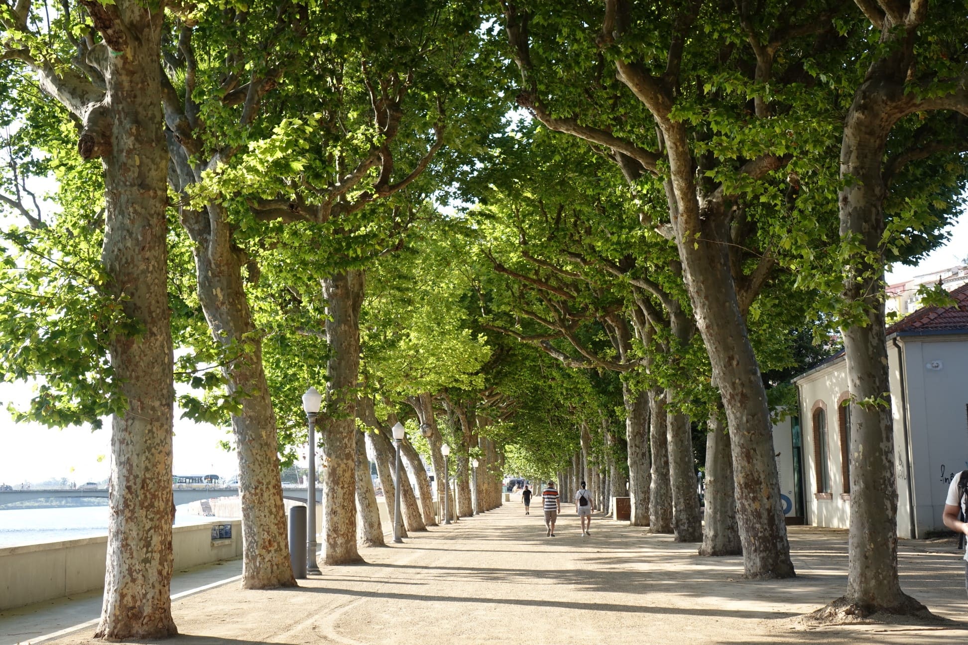 Parque Dr. Manuel Braga