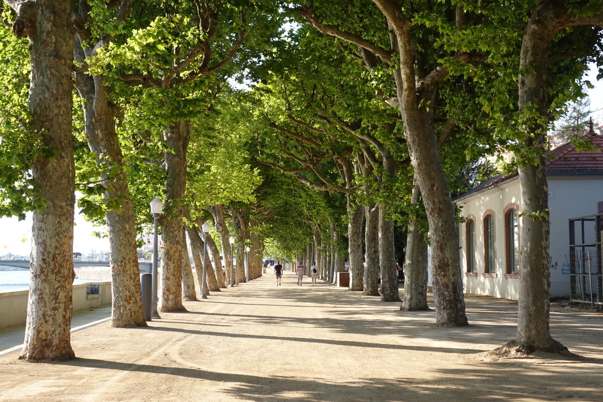 Parque Dr. Manuel Braga