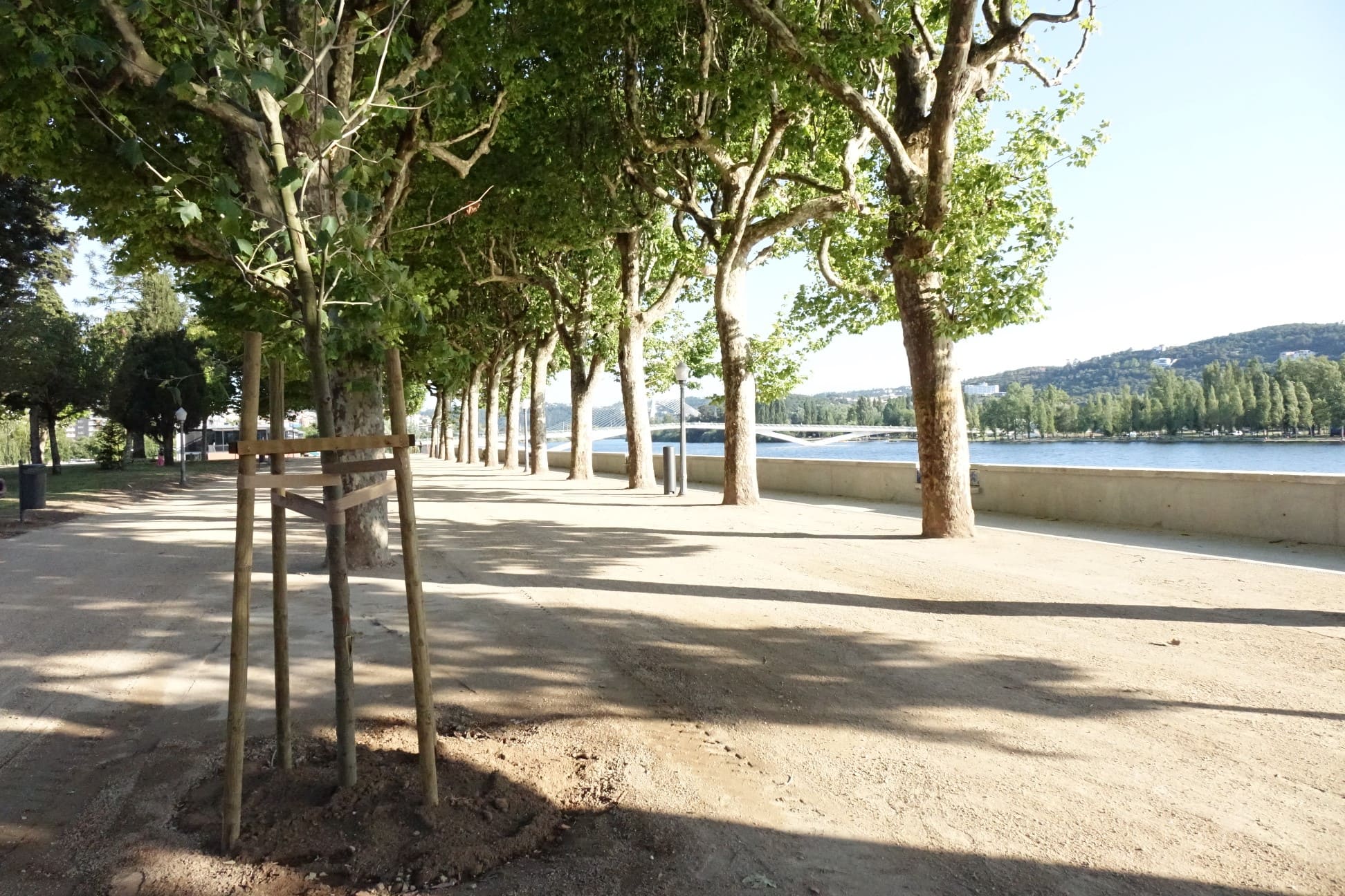 Parque Dr. Manuel Braga