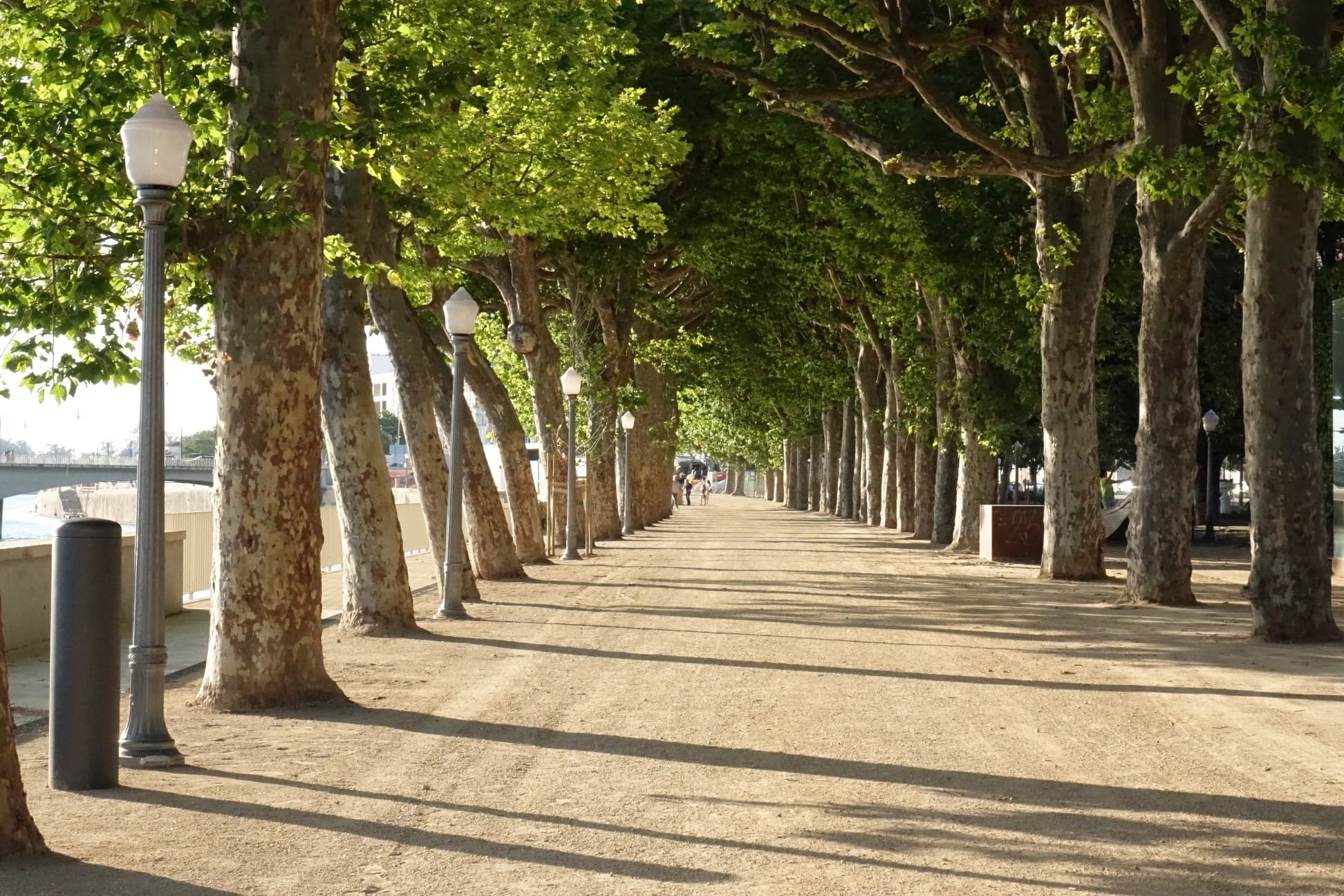 Parque Dr. Manuel Braga