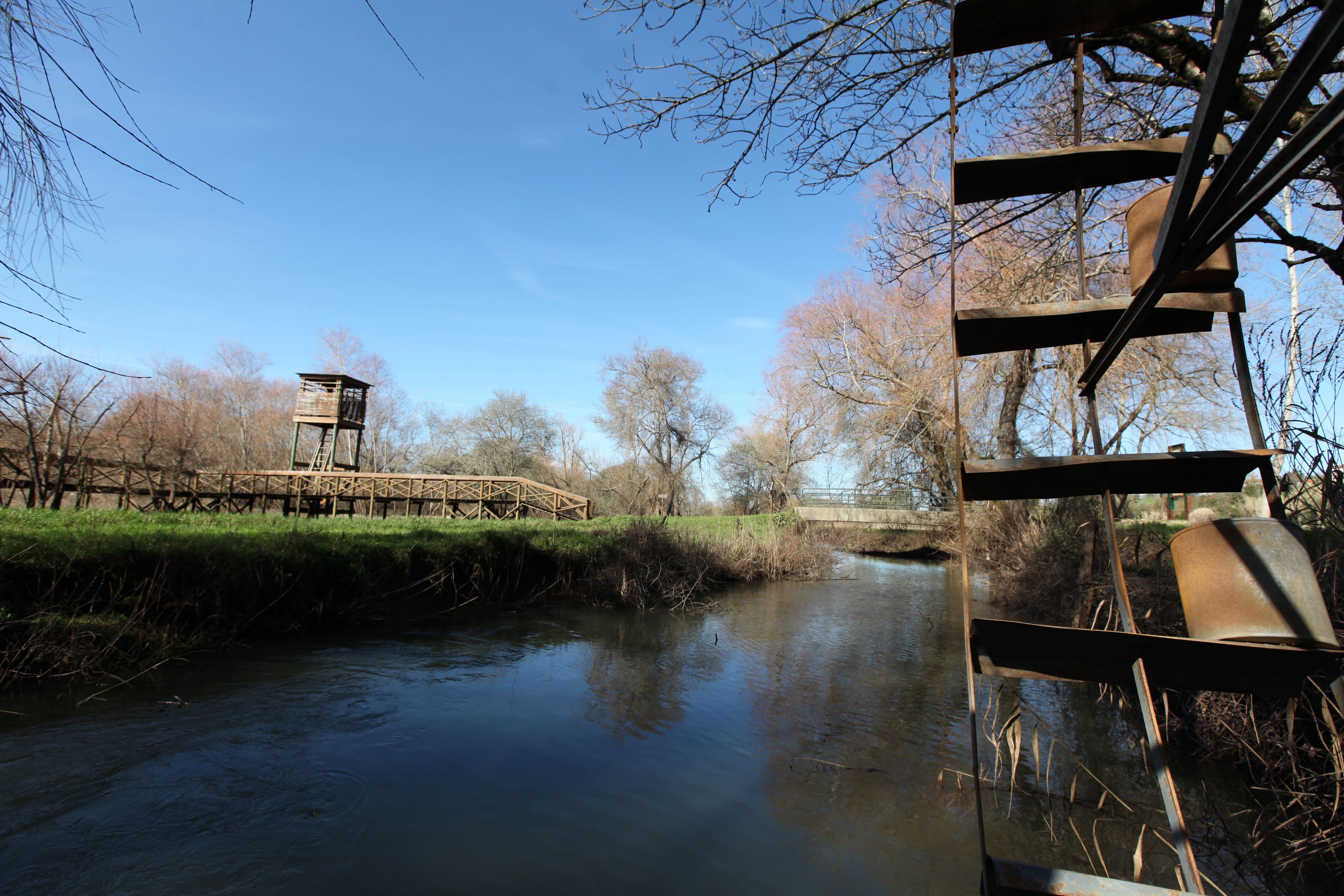 Reserva Natural de Paúl de Arzila