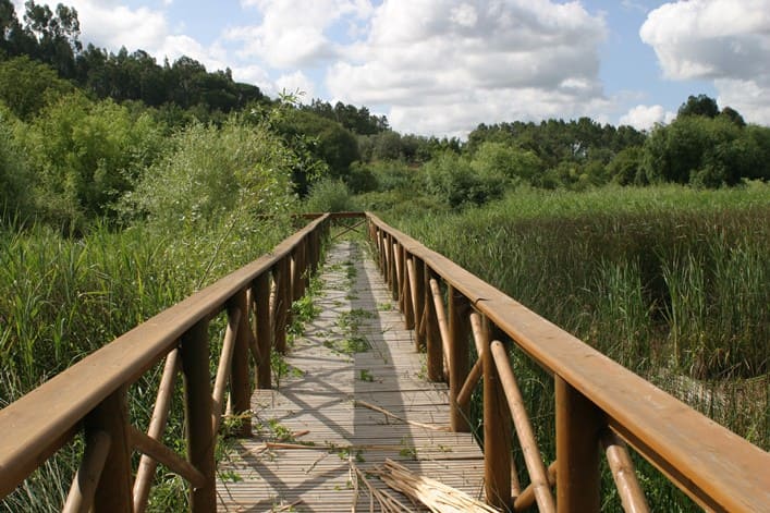 Reserva Natural de Paúl de Arzila
