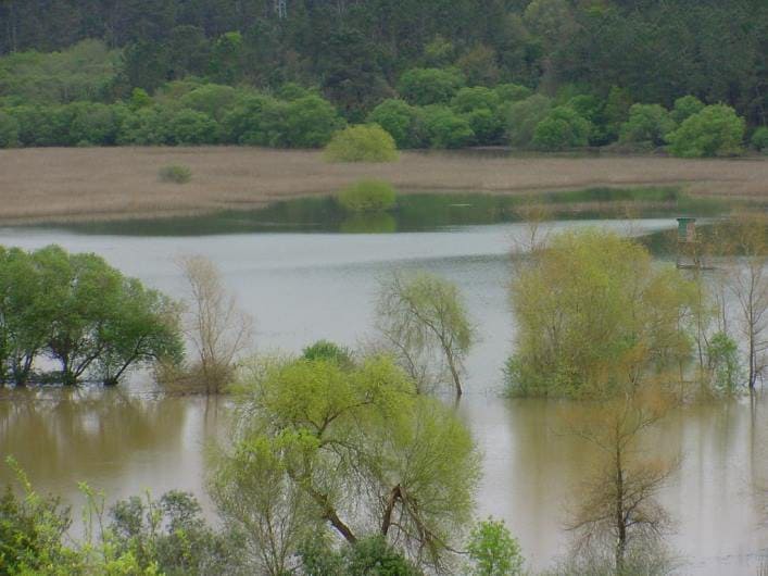 Reserva Natural de Paúl de Arzila