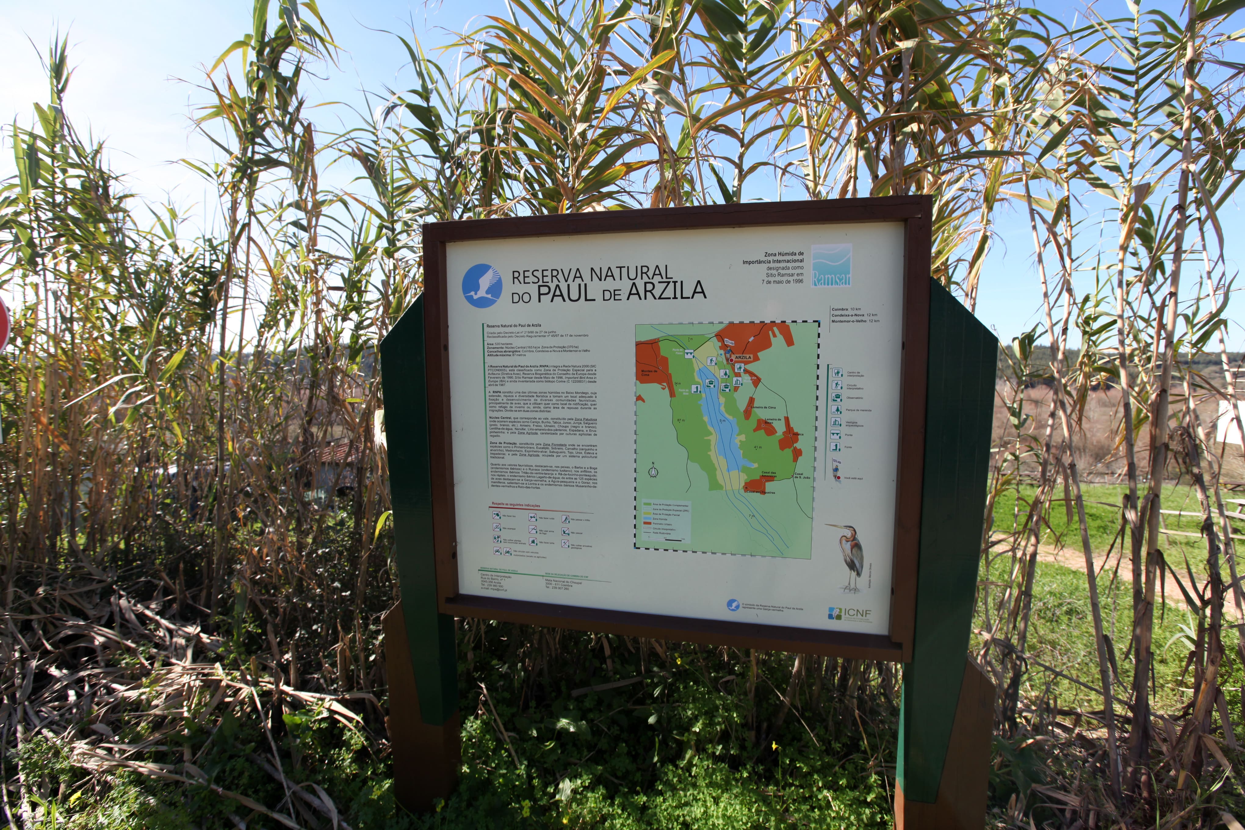 Reserva Natural de Paúl de Arzila