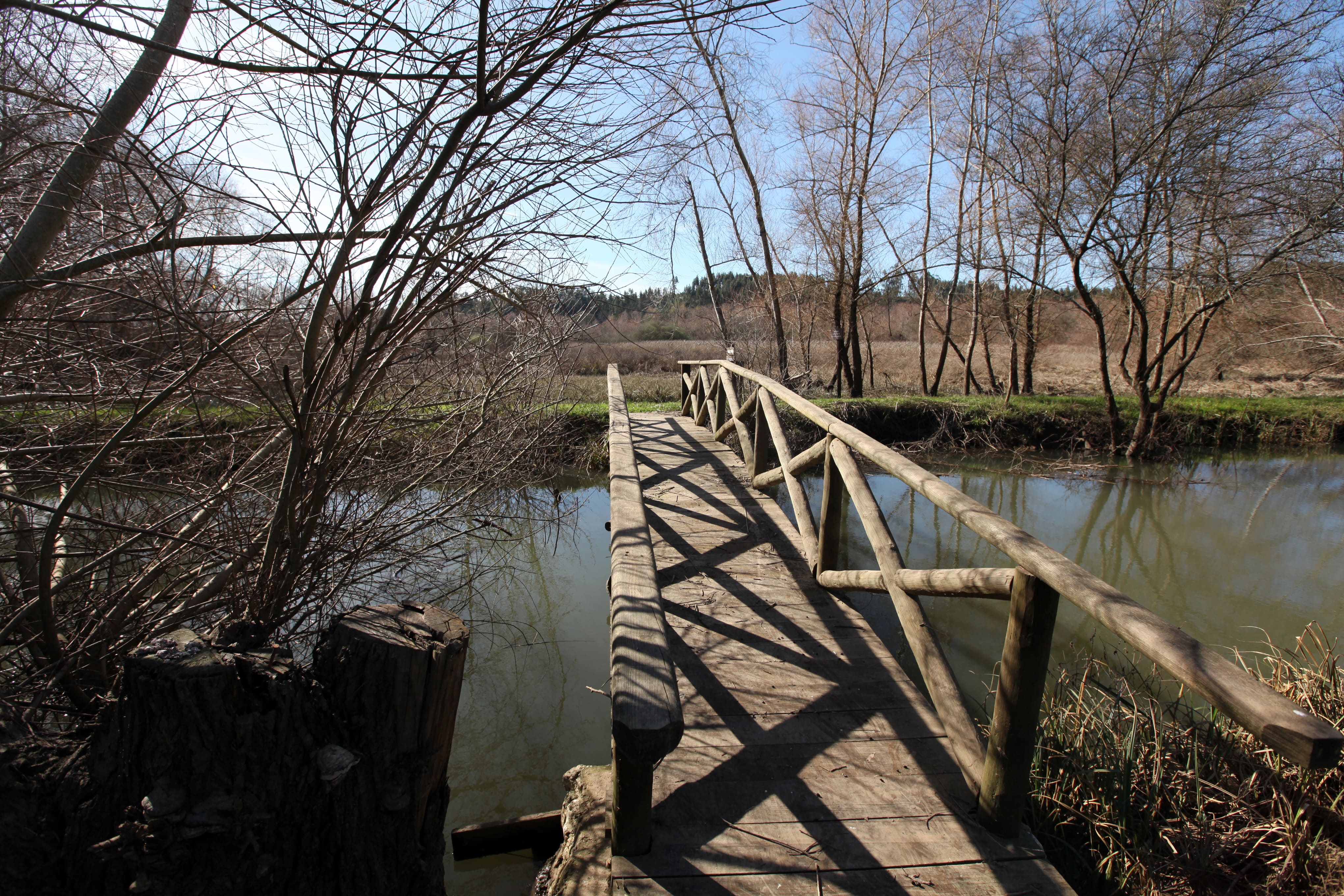 Reserva Natural de Paúl de Arzila