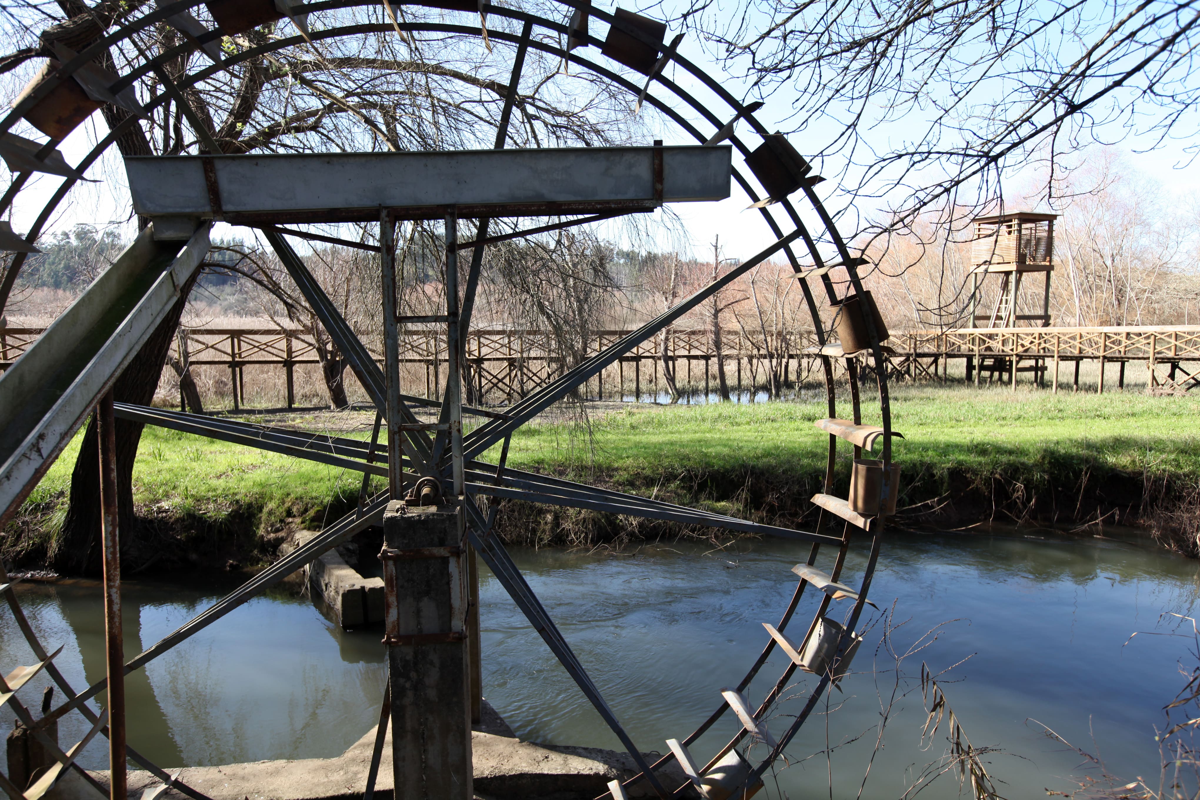 Reserva Natural de Paúl de Arzila