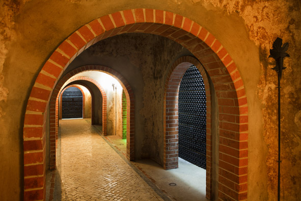 Castas Nativas da Bairrada - Adega Cooperativa de Cantanhede