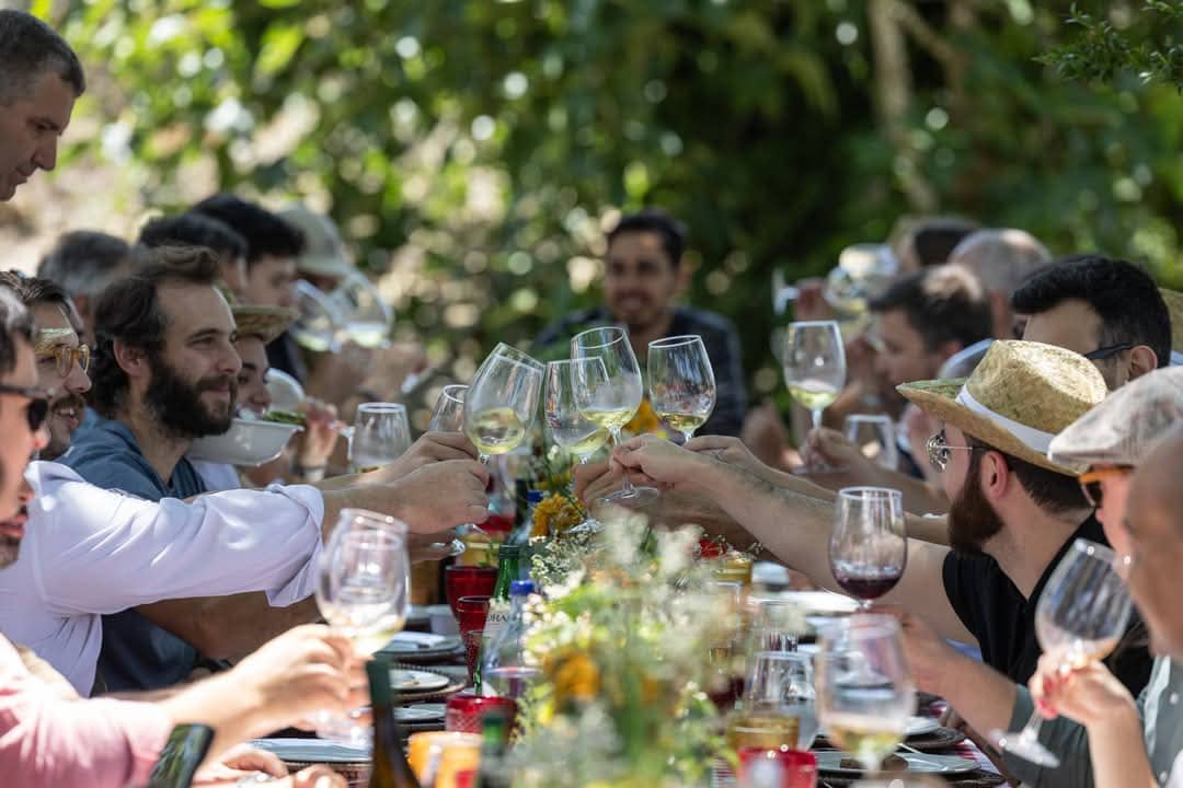 Enogastronomic event at  Caves São João