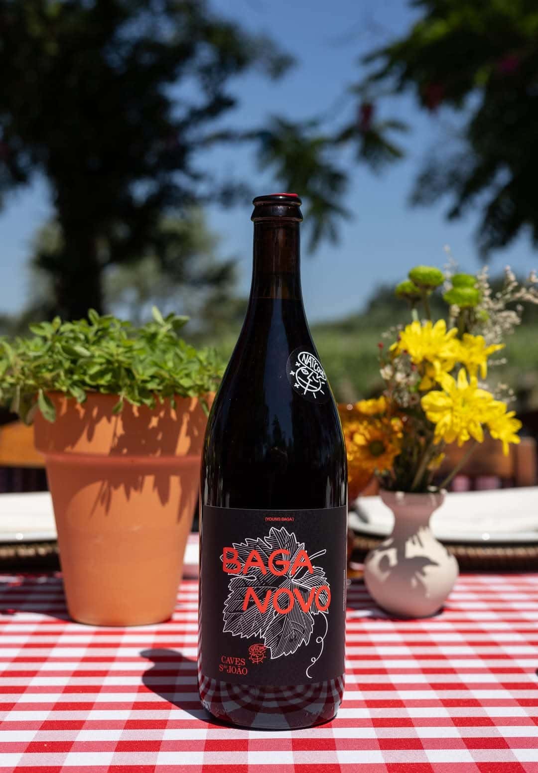 Enogastronomic event at  Caves São João