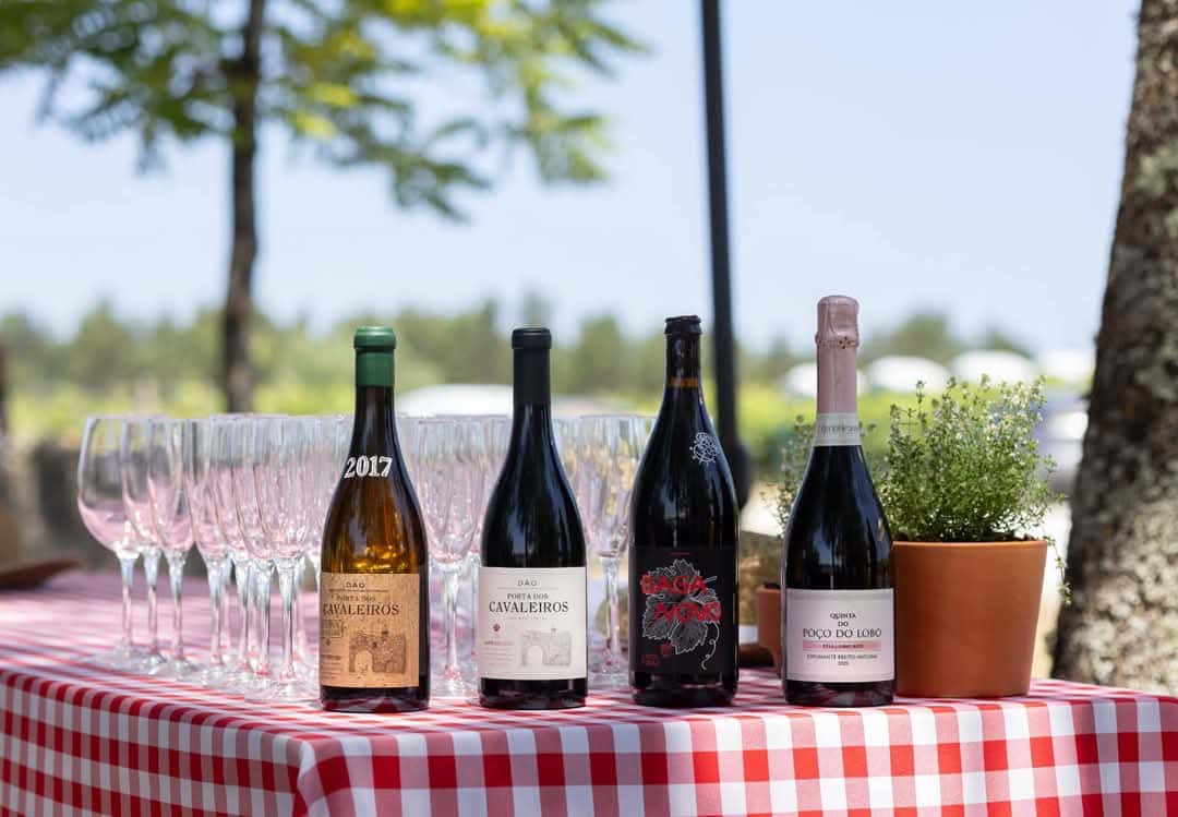 Enogastronomic event at  Caves São João