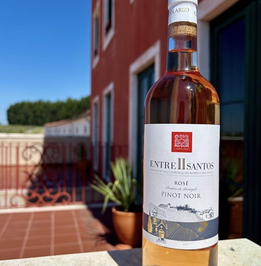 Entre II Santos wine tasting - Adega Campolargo