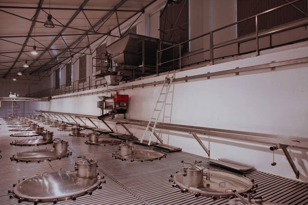 Cata de vinos Entre II Santos - Adega Campolargo