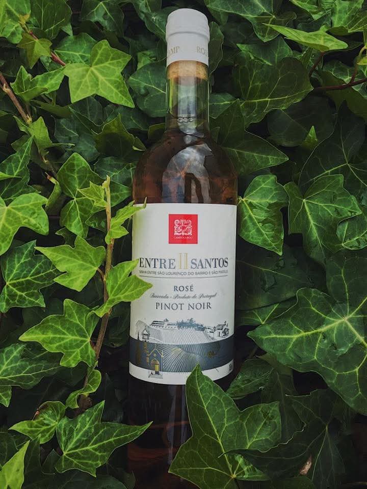 Cata de vinos Entre II Santos - Adega Campolargo