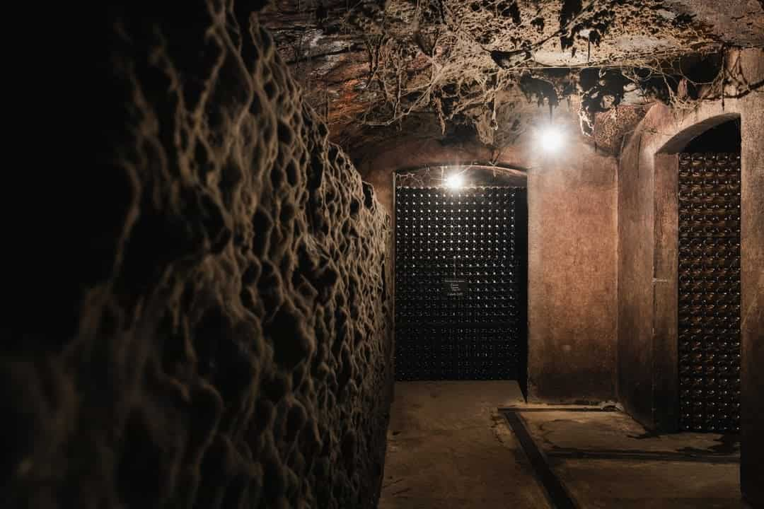 Visita y cata de vinos Bairrada con bocadillos de Leitão en Caves São Domingos