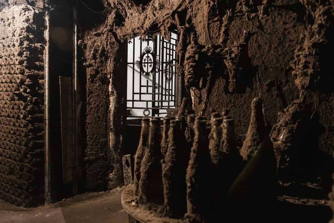 Guided visit and tasting of Bairrada wines with Leitão sandwiches at Caves São Domingos