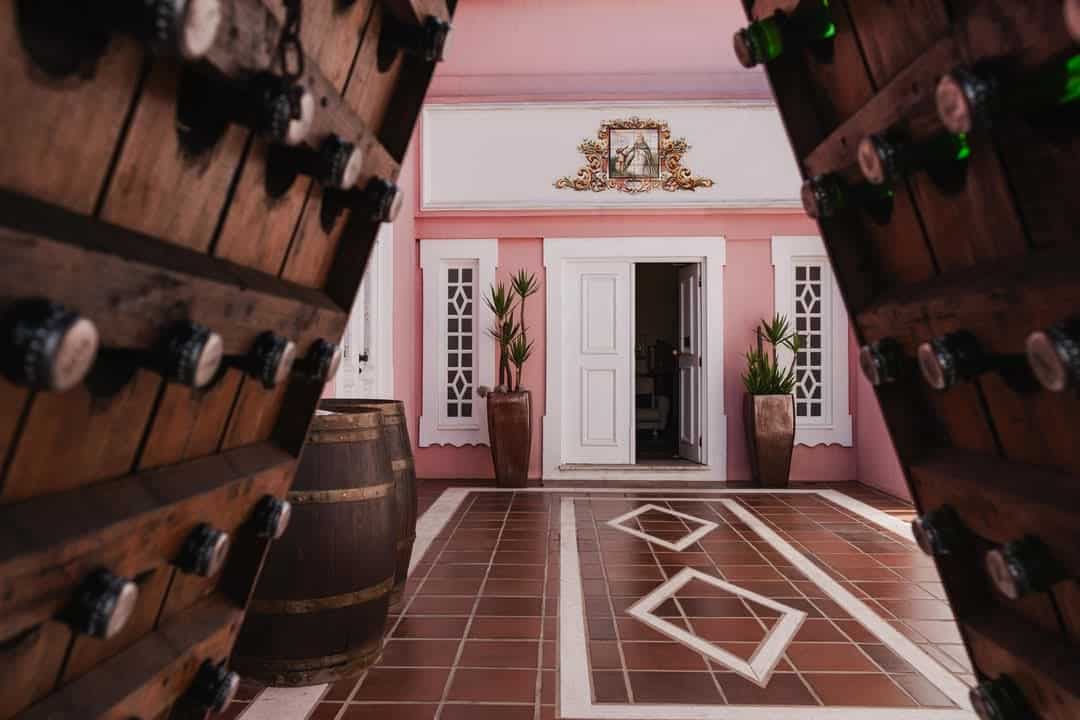 Visita guiada a Caves São Domingos