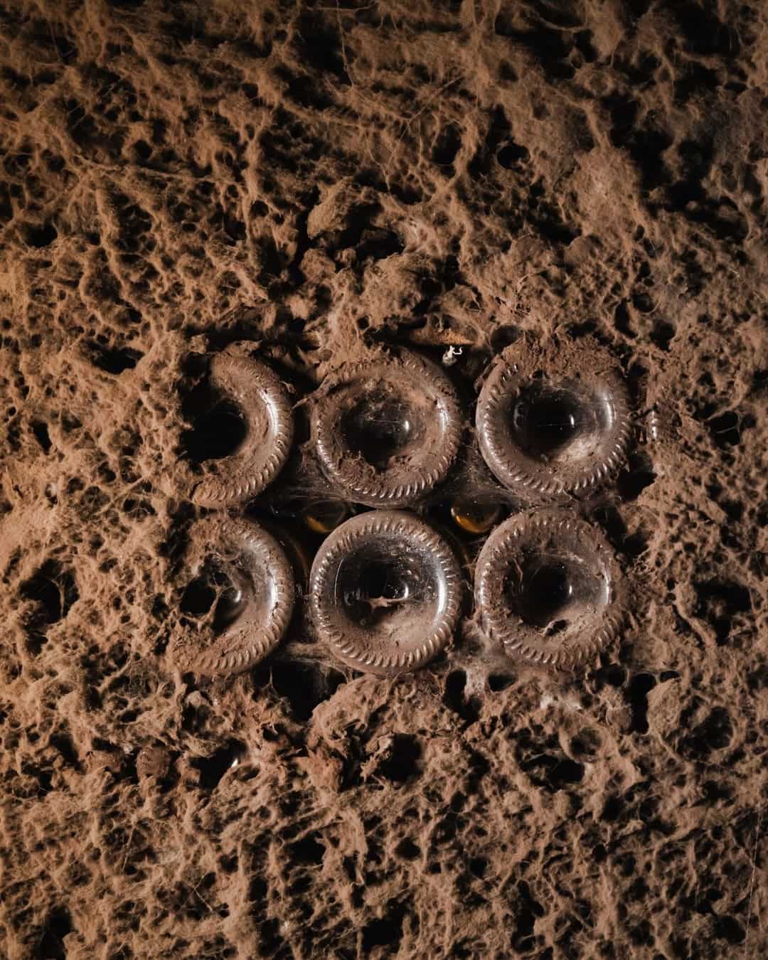 Visita e prova de espumantes clássica nas Caves São Domingos