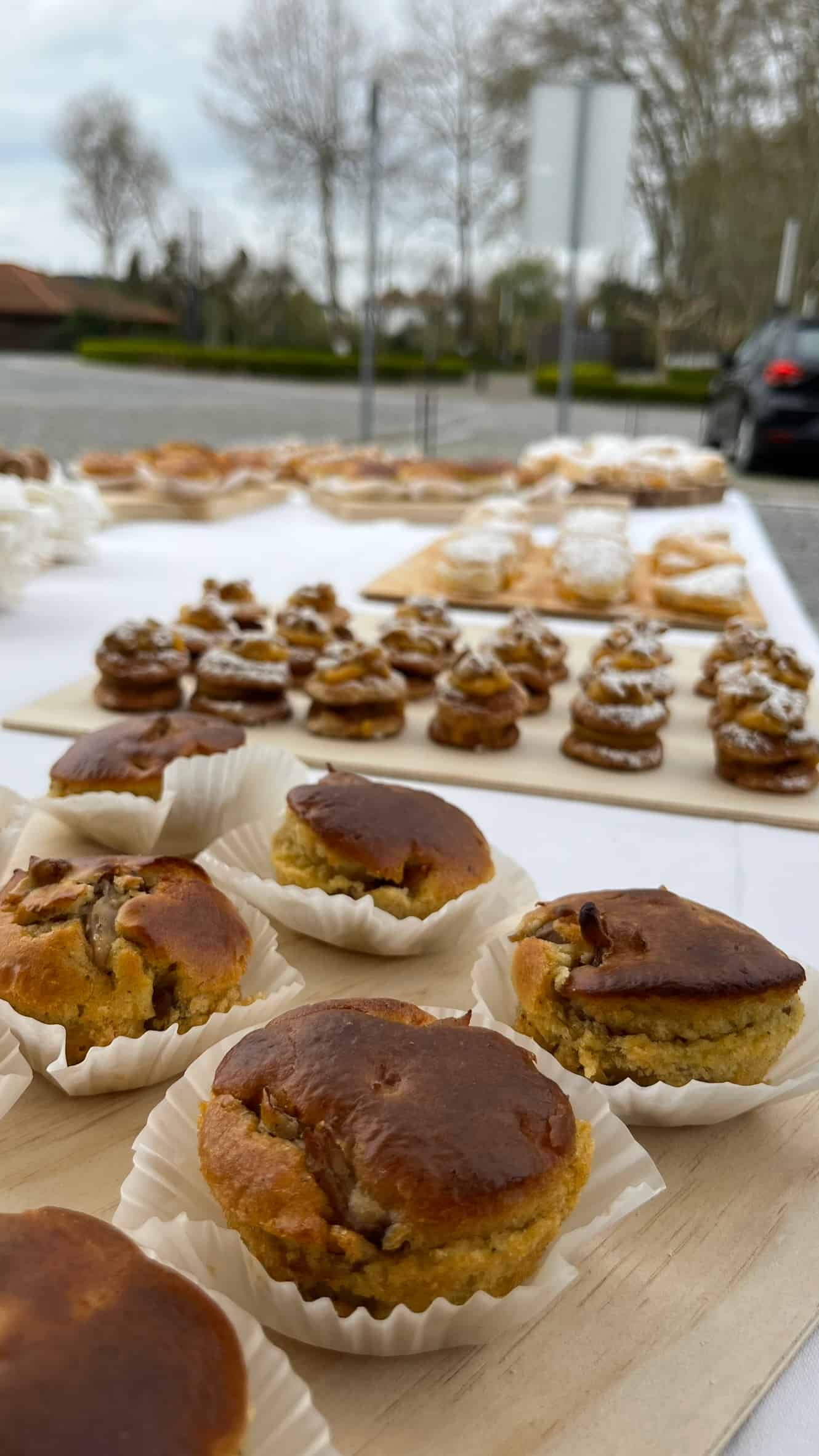 Guided tour of Bairrada Space of Curia with Amor da Curia tasting and sparkling wine flute