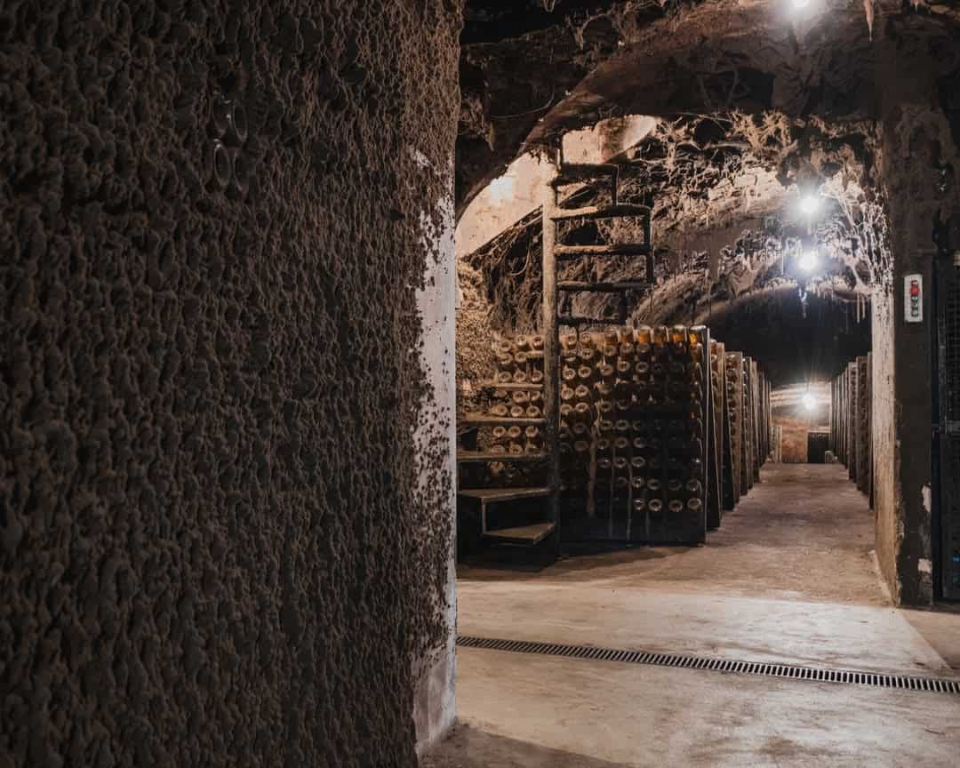 Viagem pela Bairrada Vitivinícola by Caves São Domingos