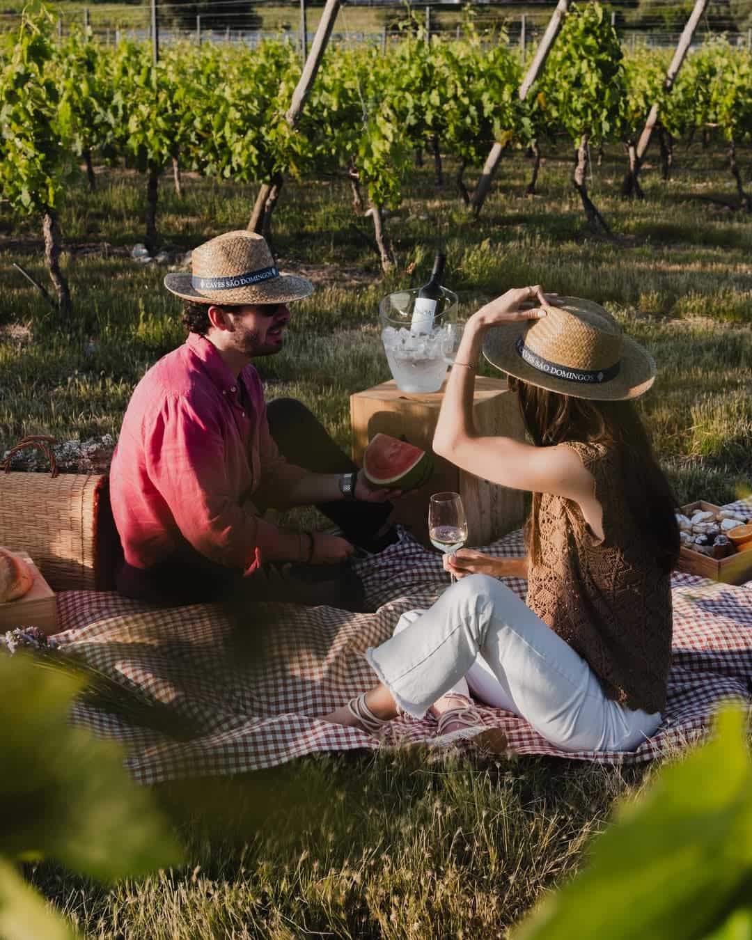 Journey through Bairrada wine district by Caves São Domingos