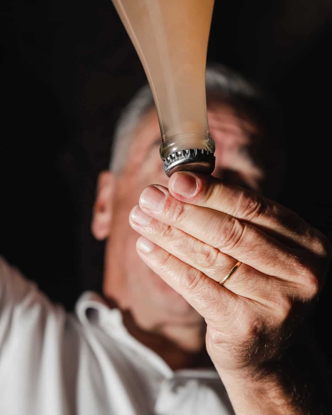 Guided visit and Bairrada experience at Caves São Domingos