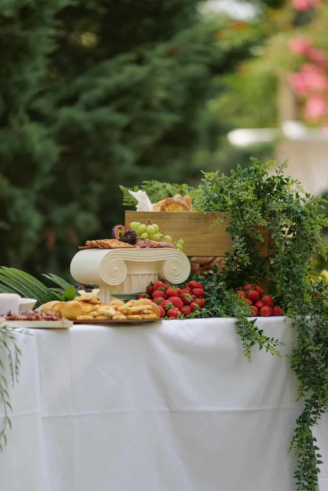 Visita e experiência completa Bairrada nas Caves São Domingos