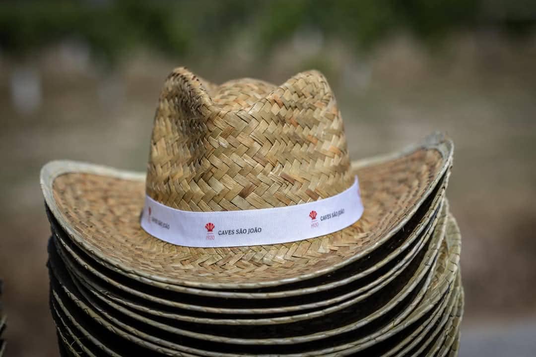 II Classic wine tasting at Caves São João