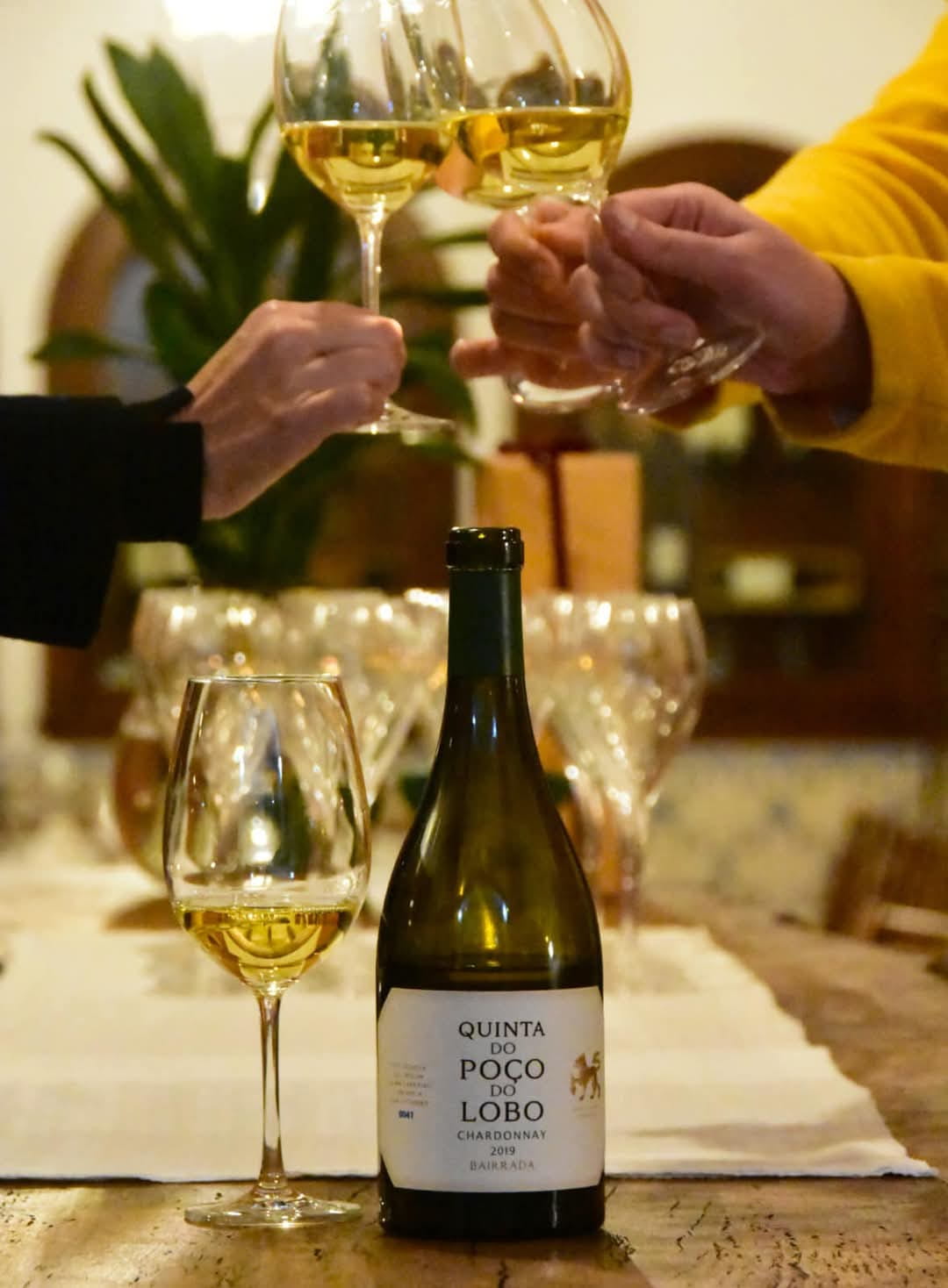 Prova de vinhos com história nas Caves São João