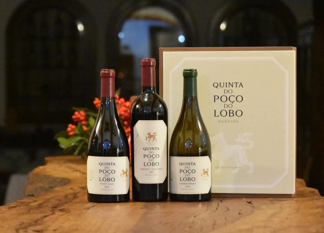 Wines with history at Caves São João