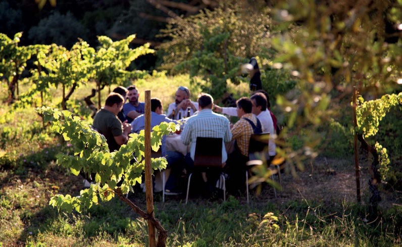 Dinner in centenary vineyard of Prior Lucas