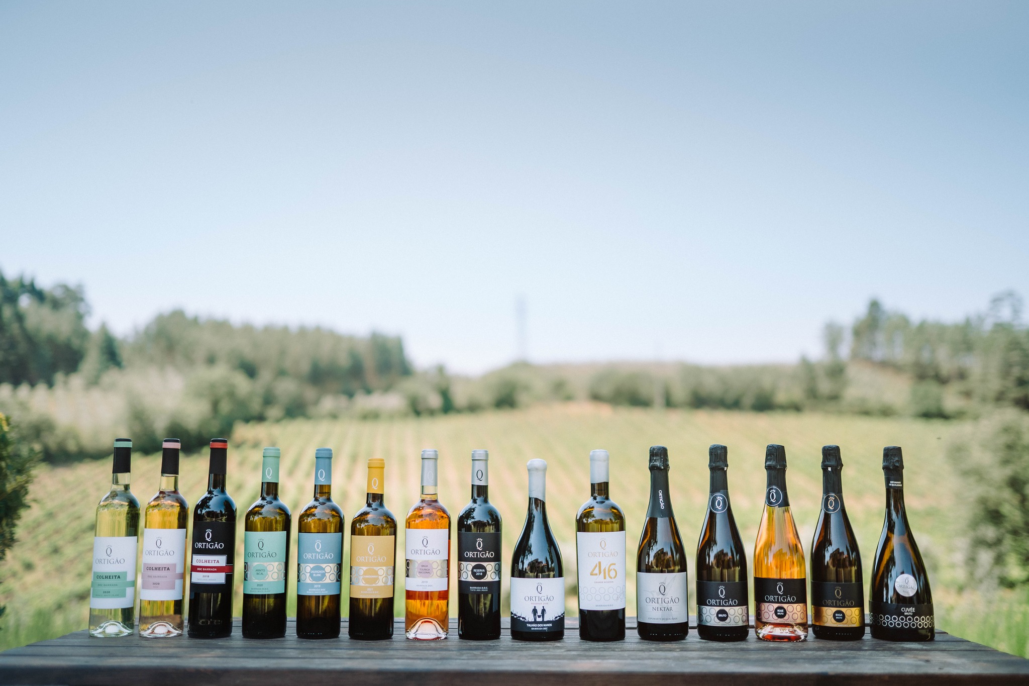 Cata de Vinos Premium comentada en Quinta do Ortigão