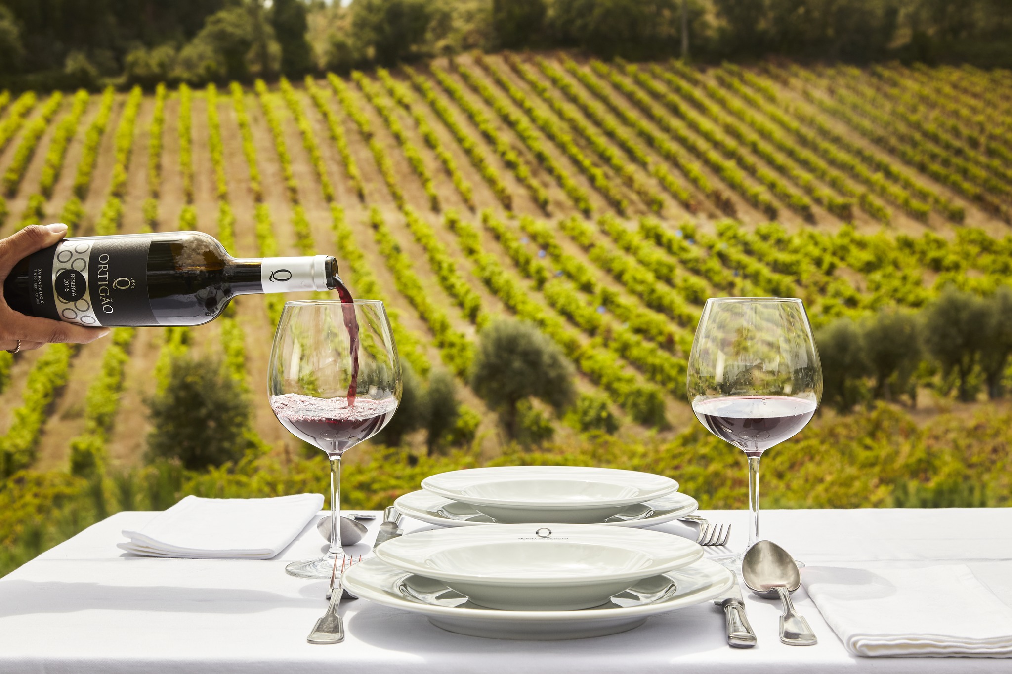 Cata de Vinos Premium comentada en Quinta do Ortigão