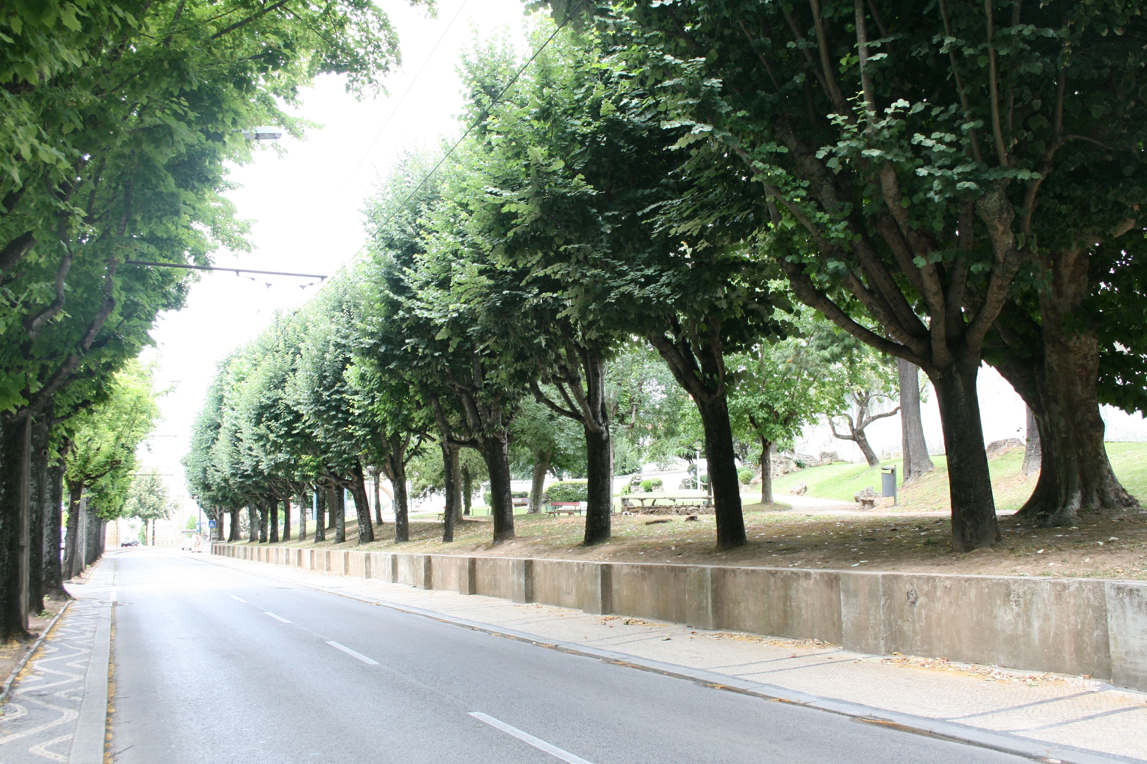 Jardín de los Patos