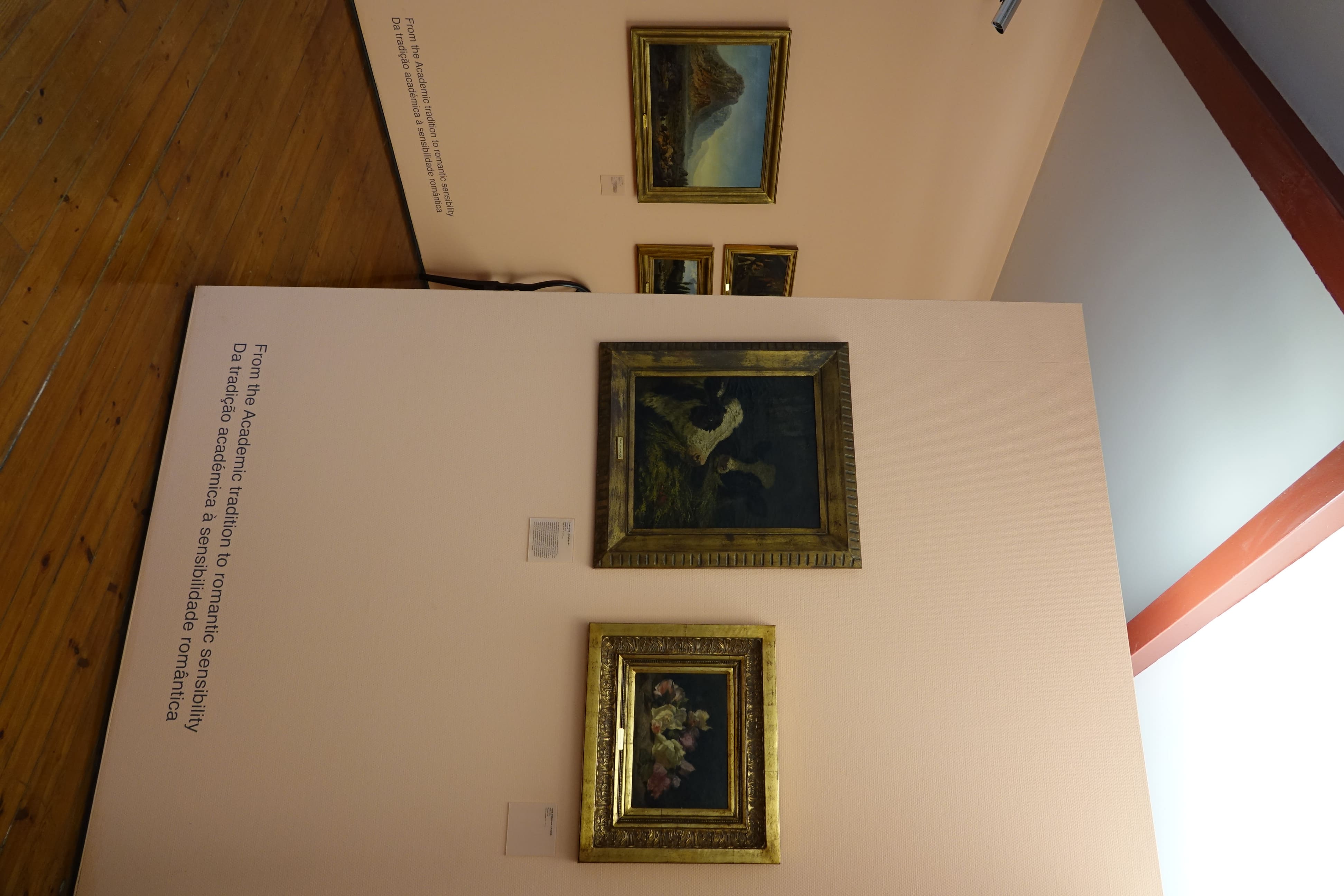 Museo Municipal de Coimbra