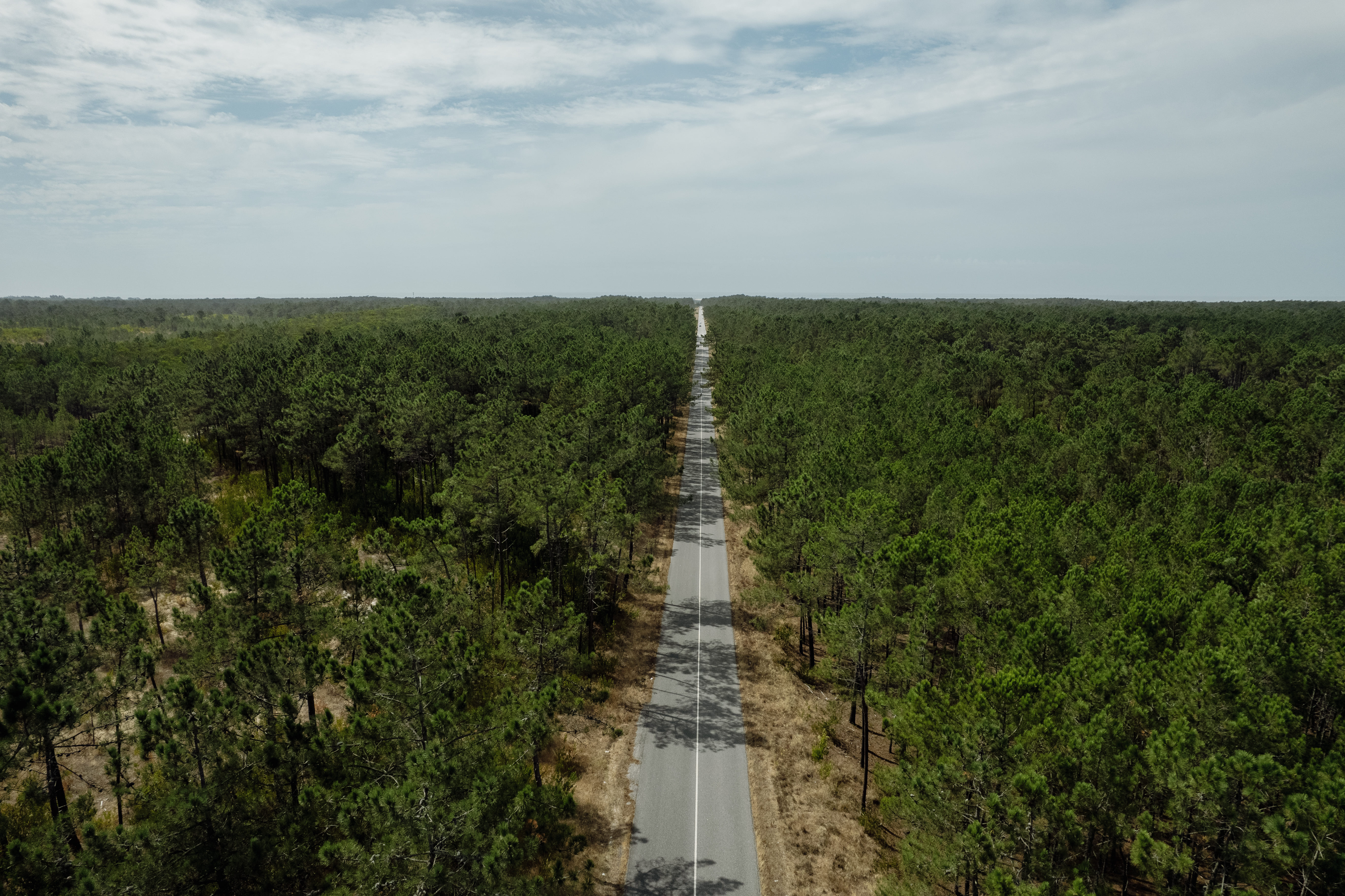 Bosque Nacional Dunas de Vagos
