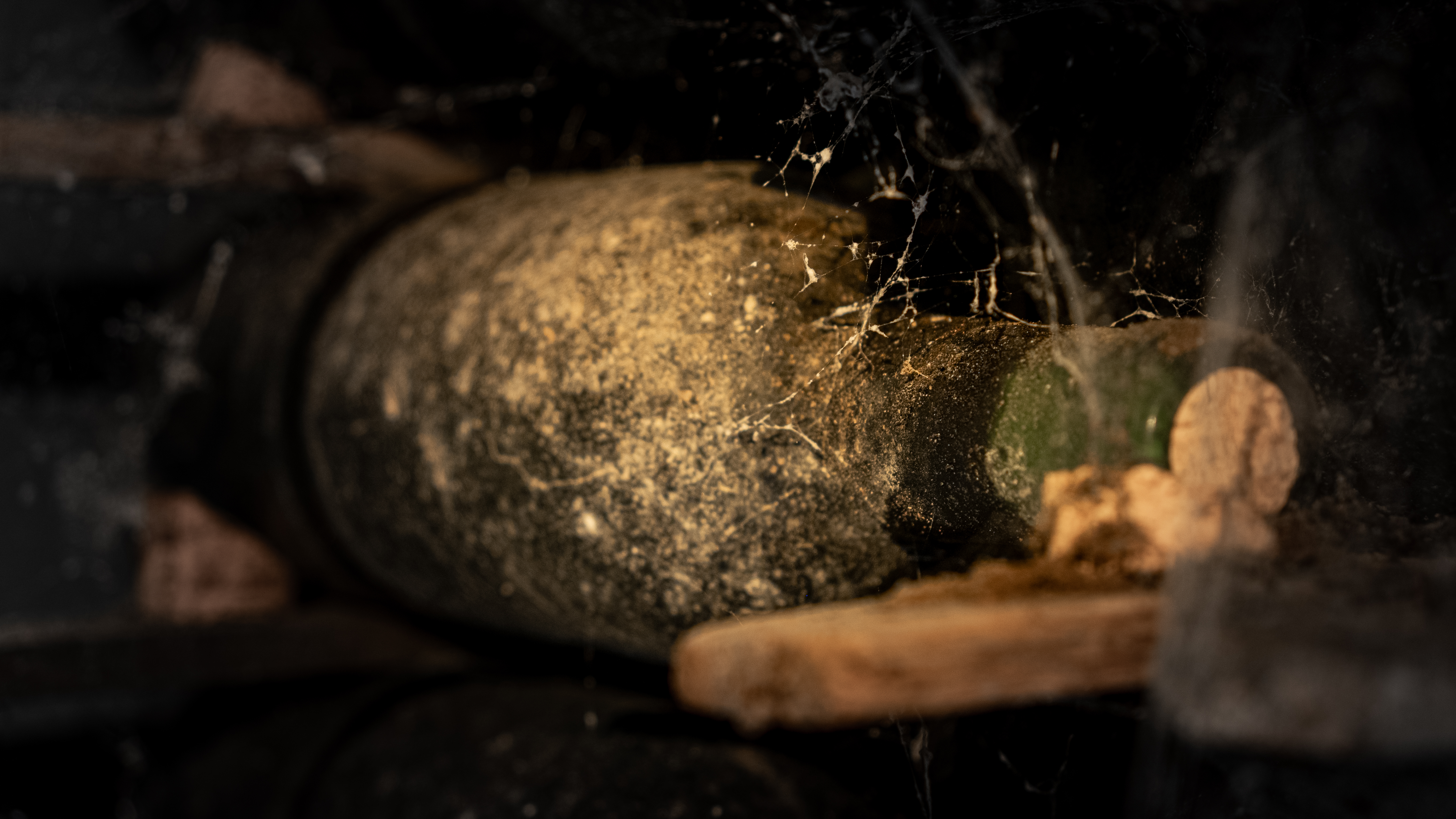 Guided visit to Real Cave do Cedro