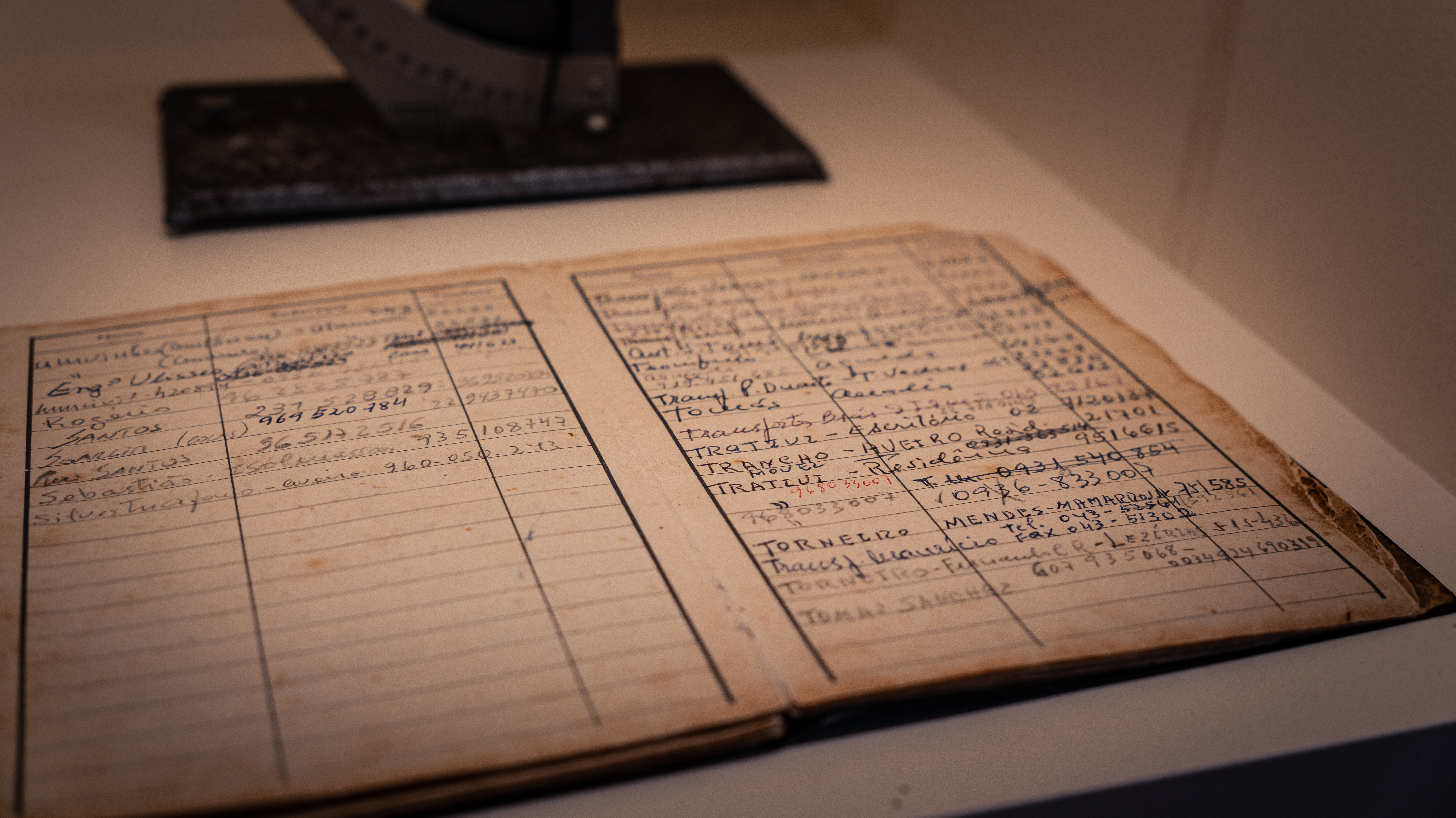 Guided visit to Real Cave do Cedro with a wine tasting of 4 wines