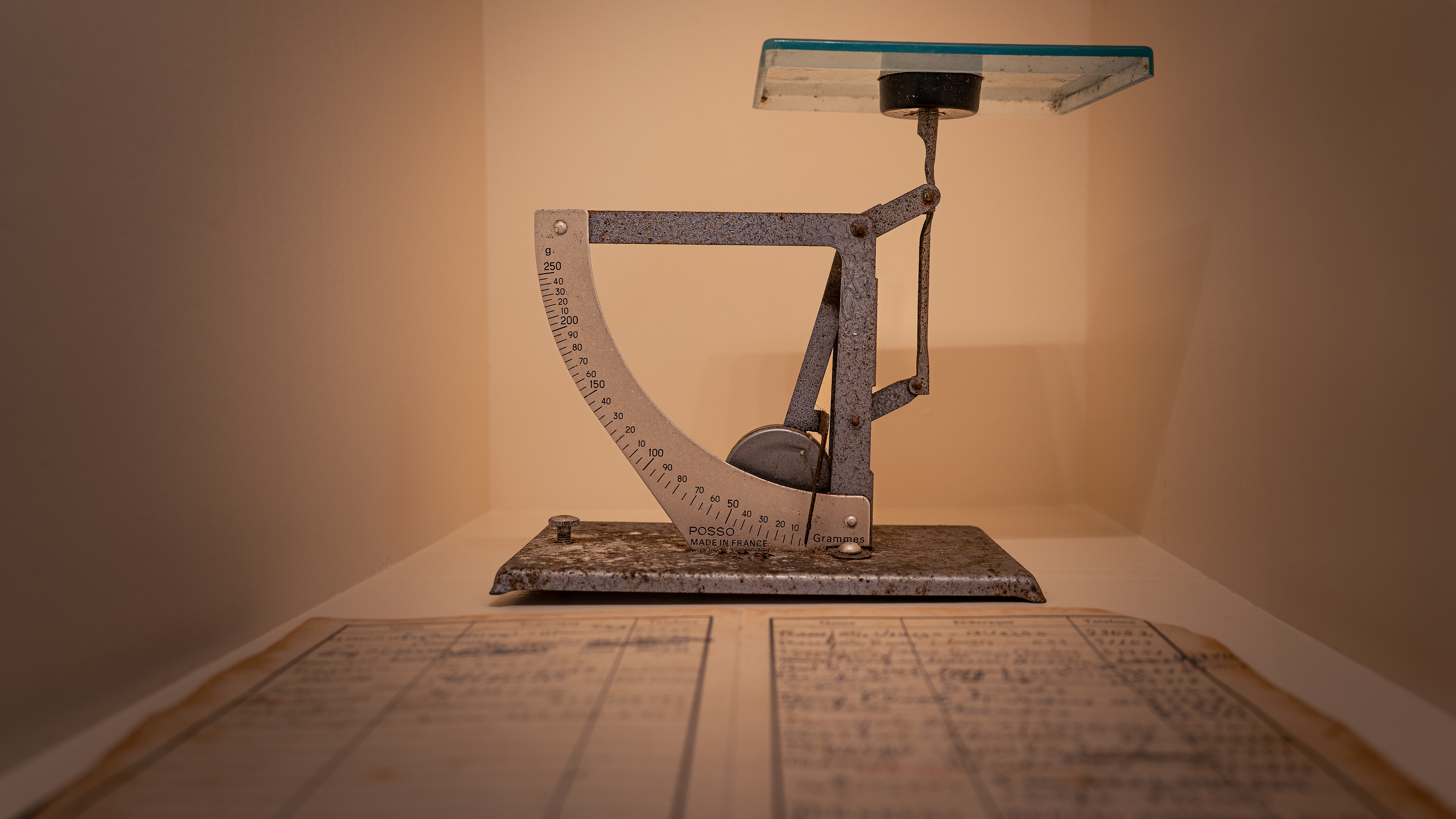 Guided visit to Real Cave do Cedro with a wine tasting of 4 wines