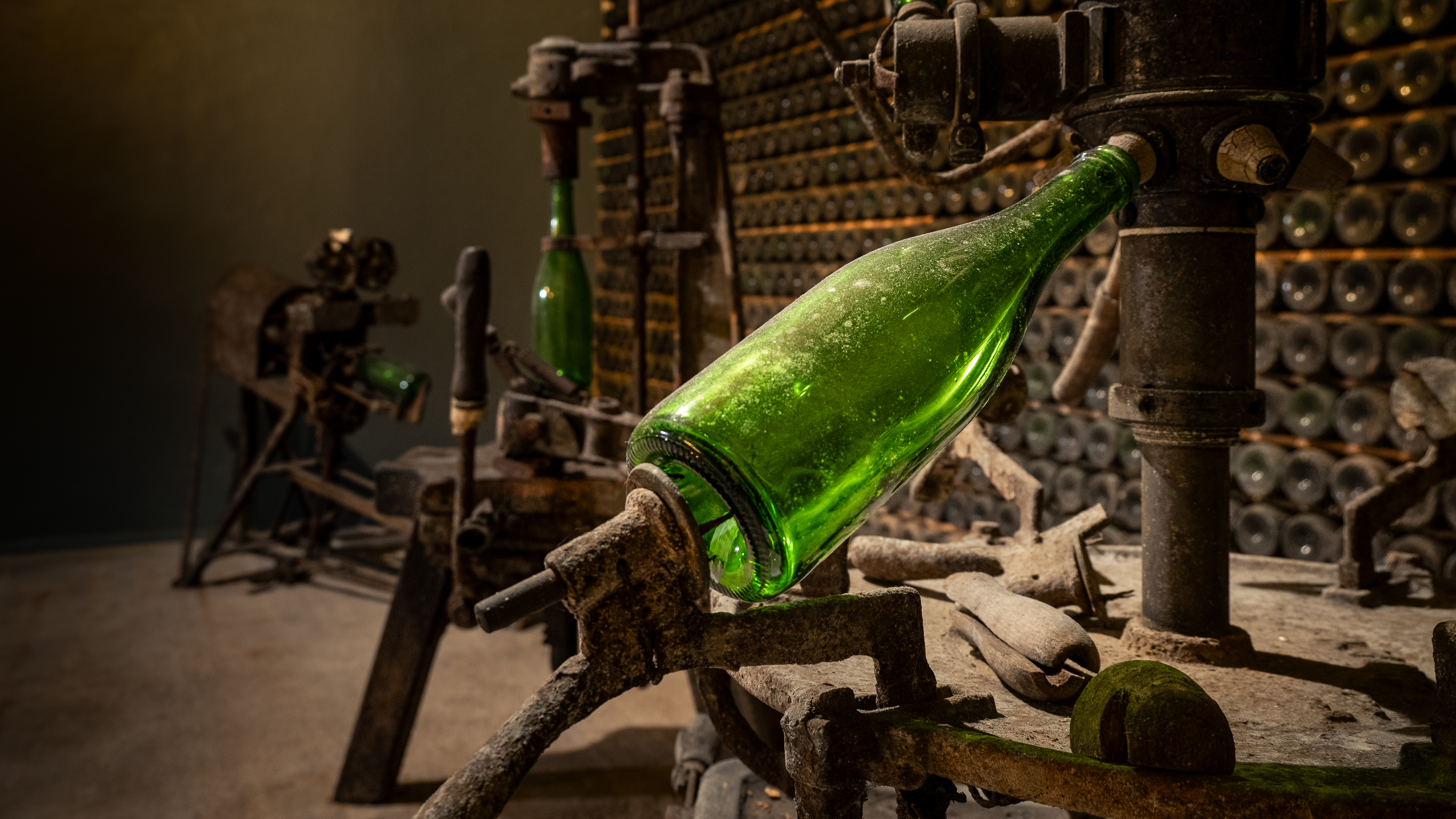 Guided visit to Real Cave do Cedro with a wine tasting of 4 wines