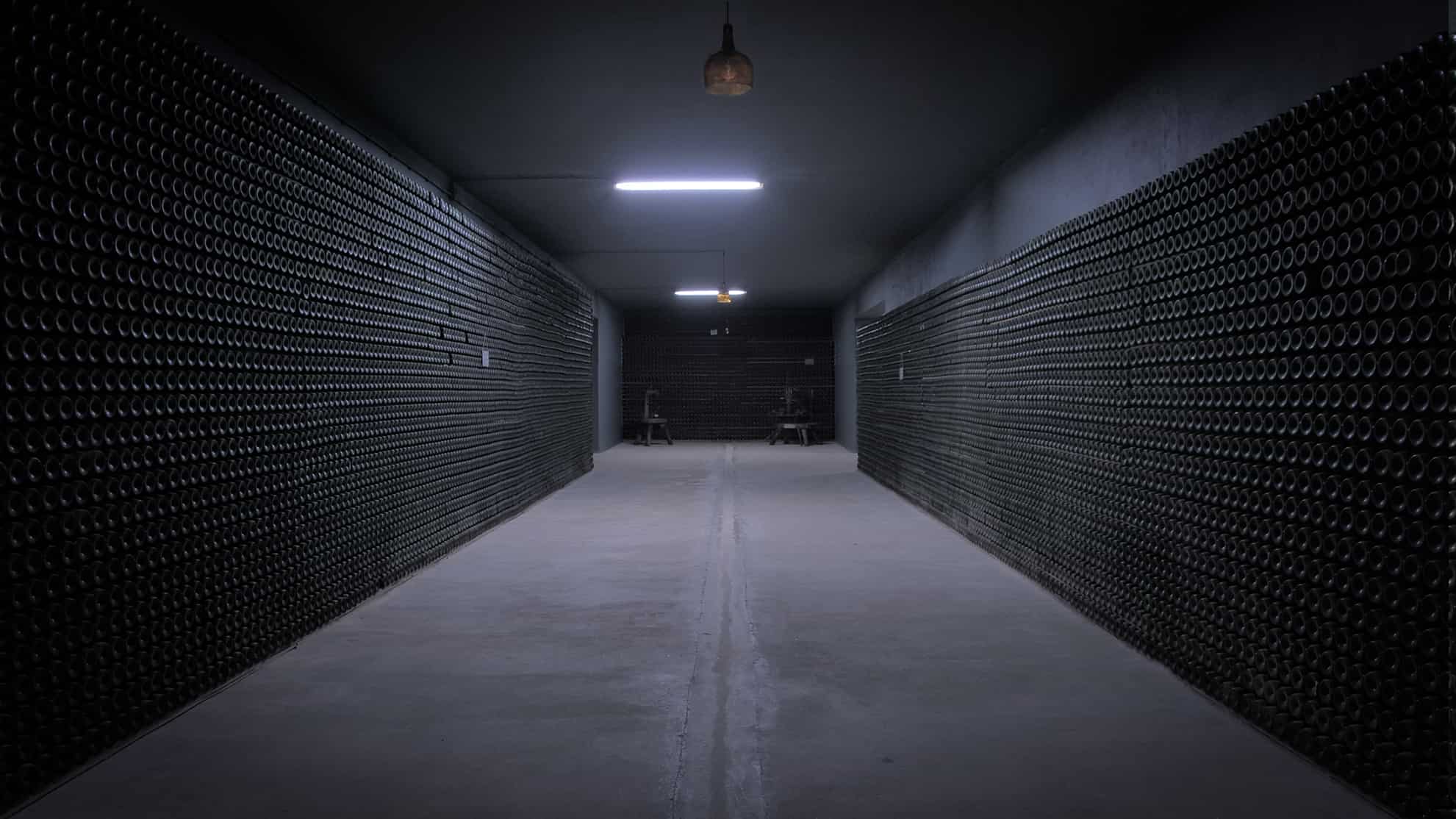 Guided visit to Real Cave do Cedro with a wine tasting of 4 wines