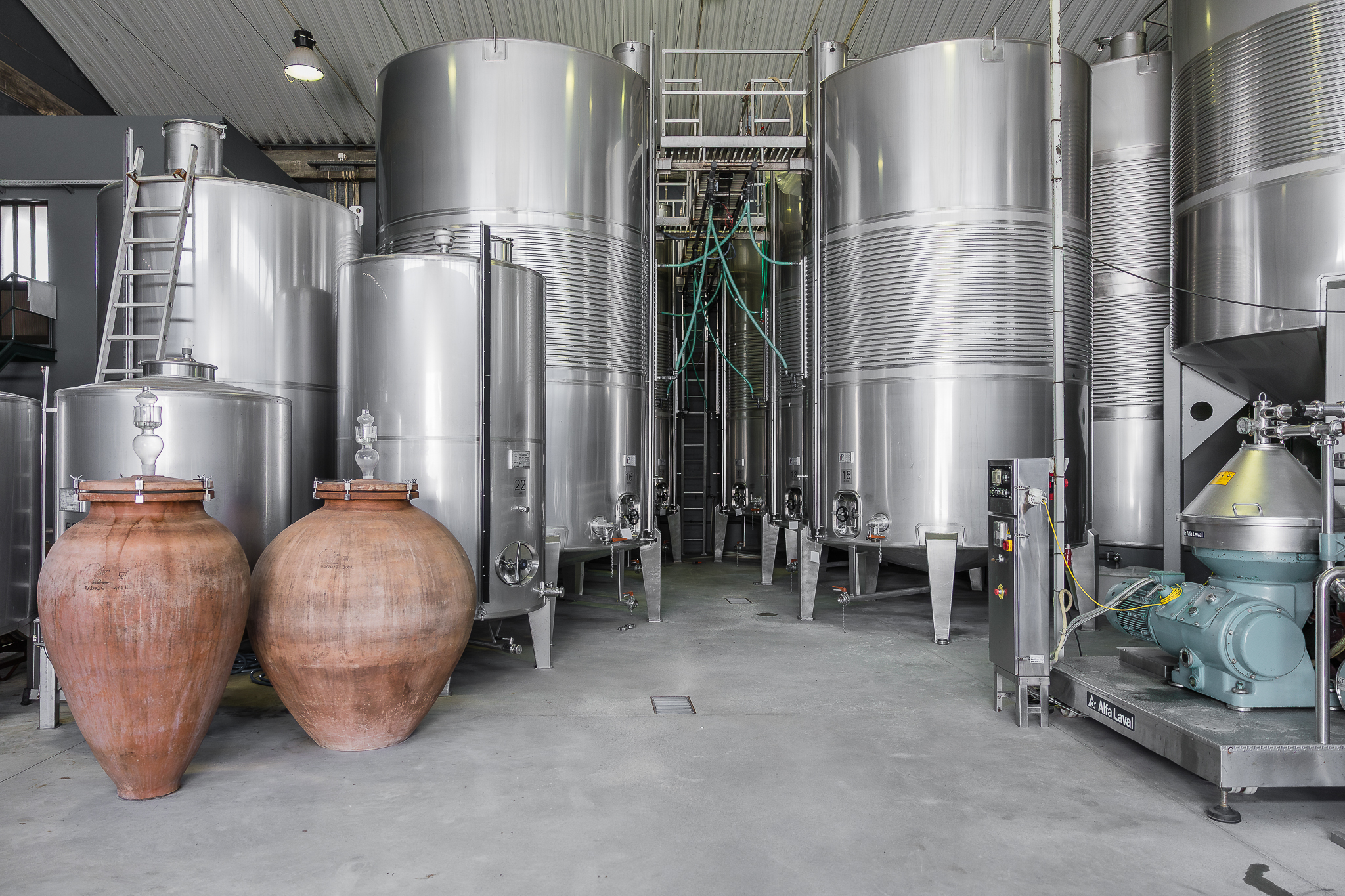 Passeio de segway e visita guiada à Real Cave do Cedro